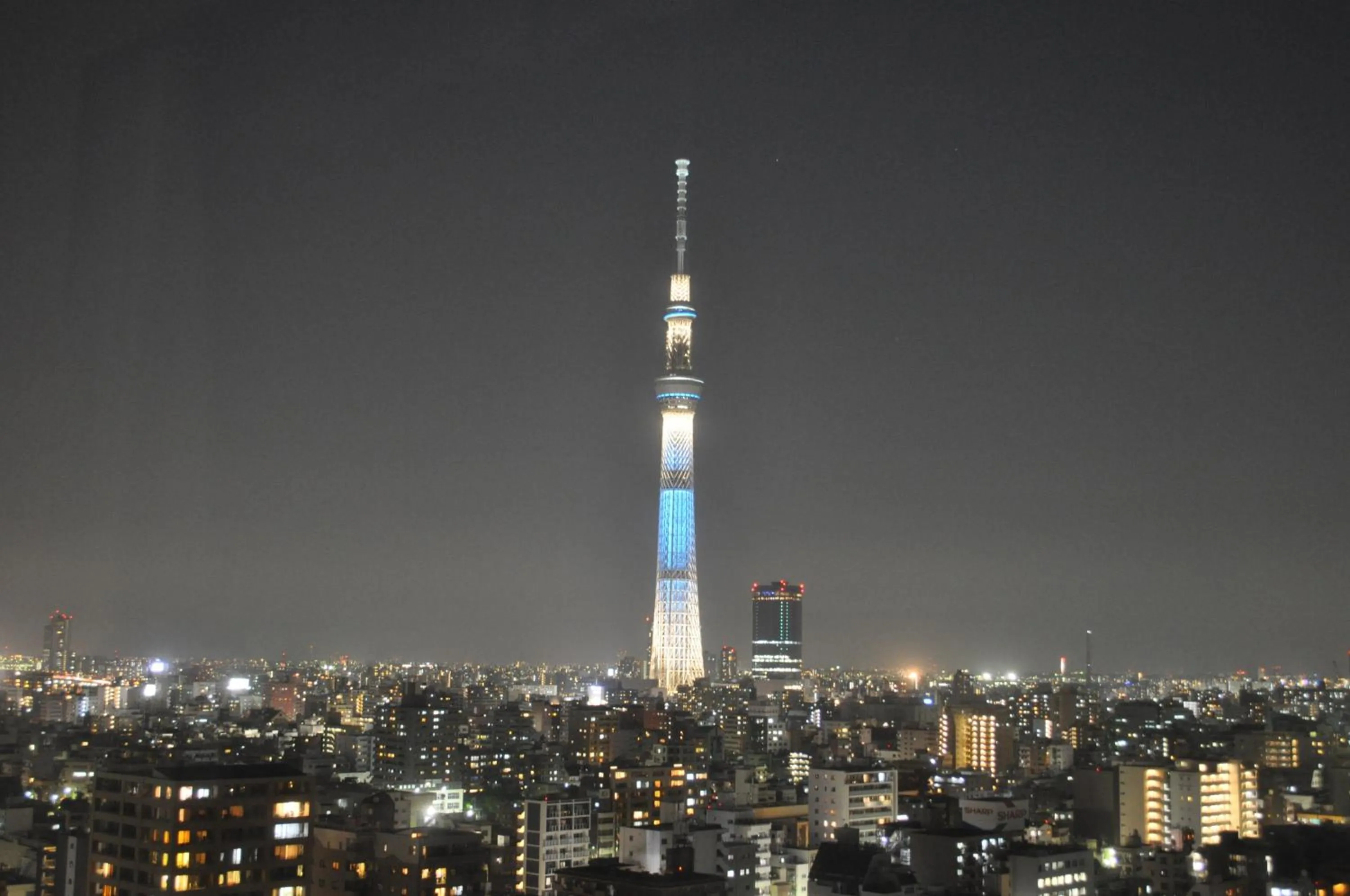 View (from property/room) in Dai-ichi Hotel Ryogoku
