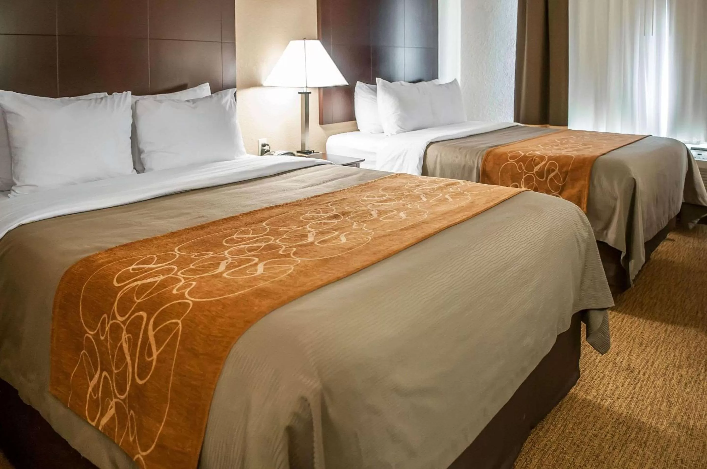 Photo of the whole room, Bed in Comfort Suites Albuquerque-North Journal Center