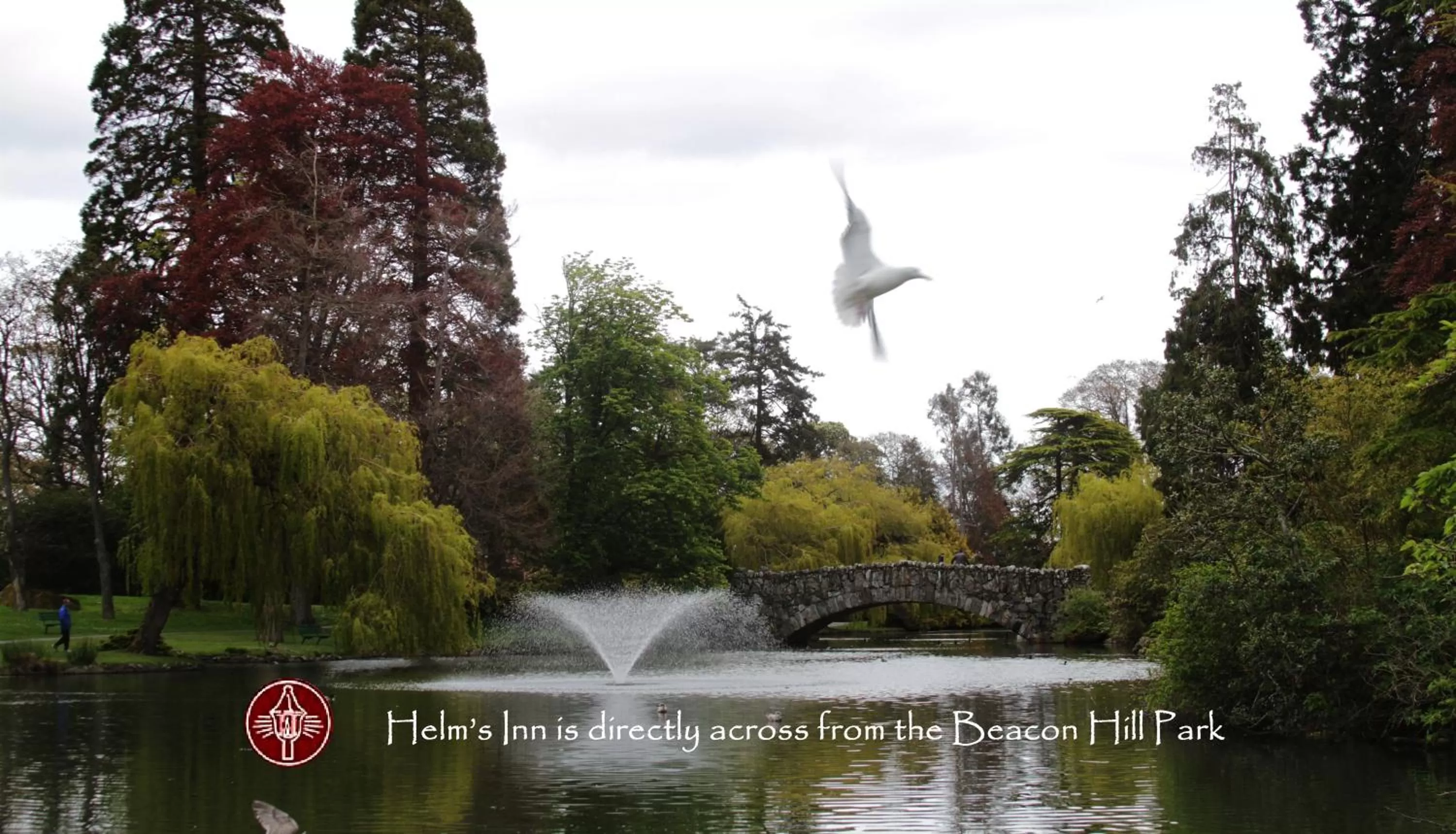 Area and facilities in Helm's Inn
