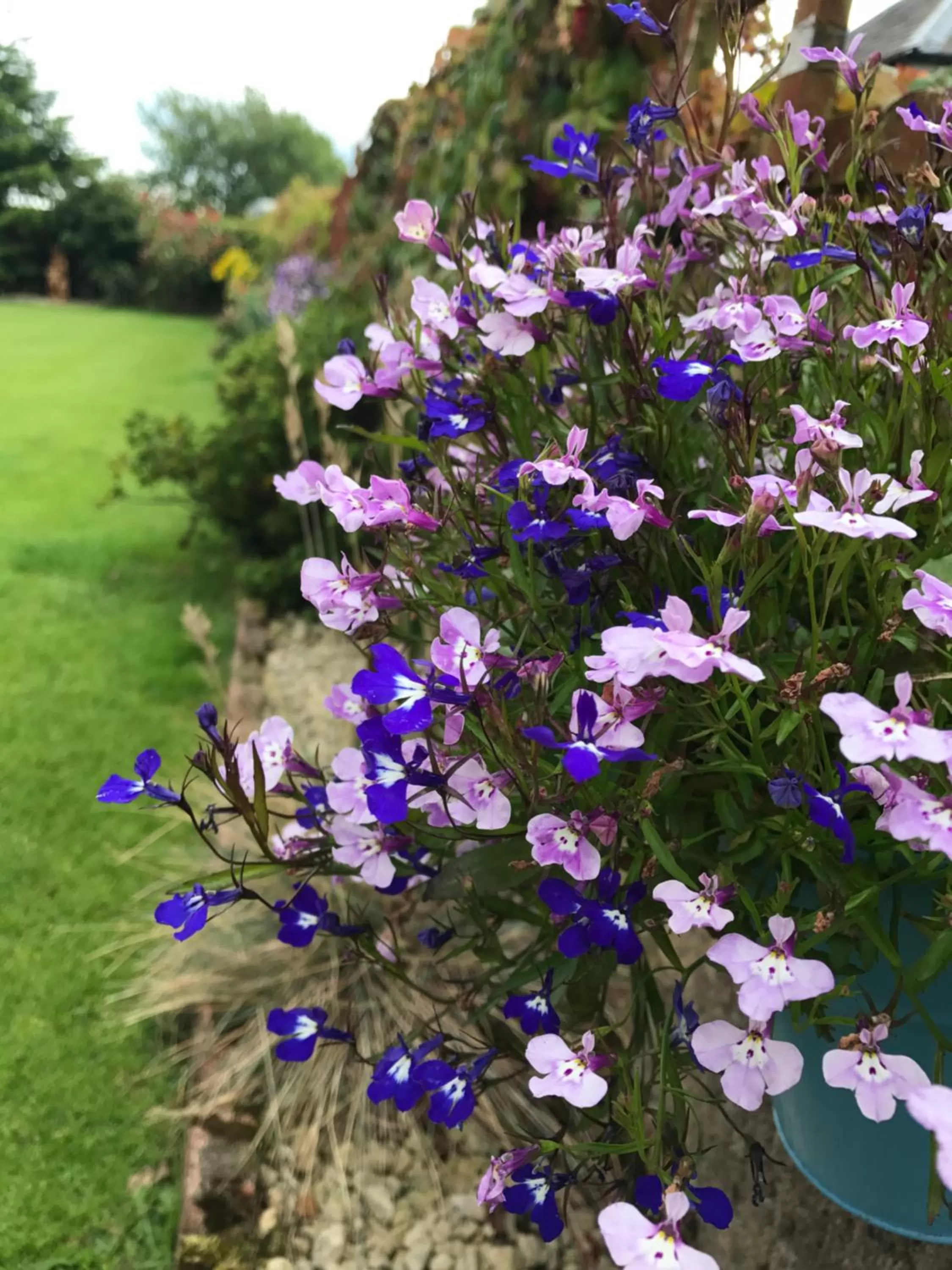 Crofthead Farm House