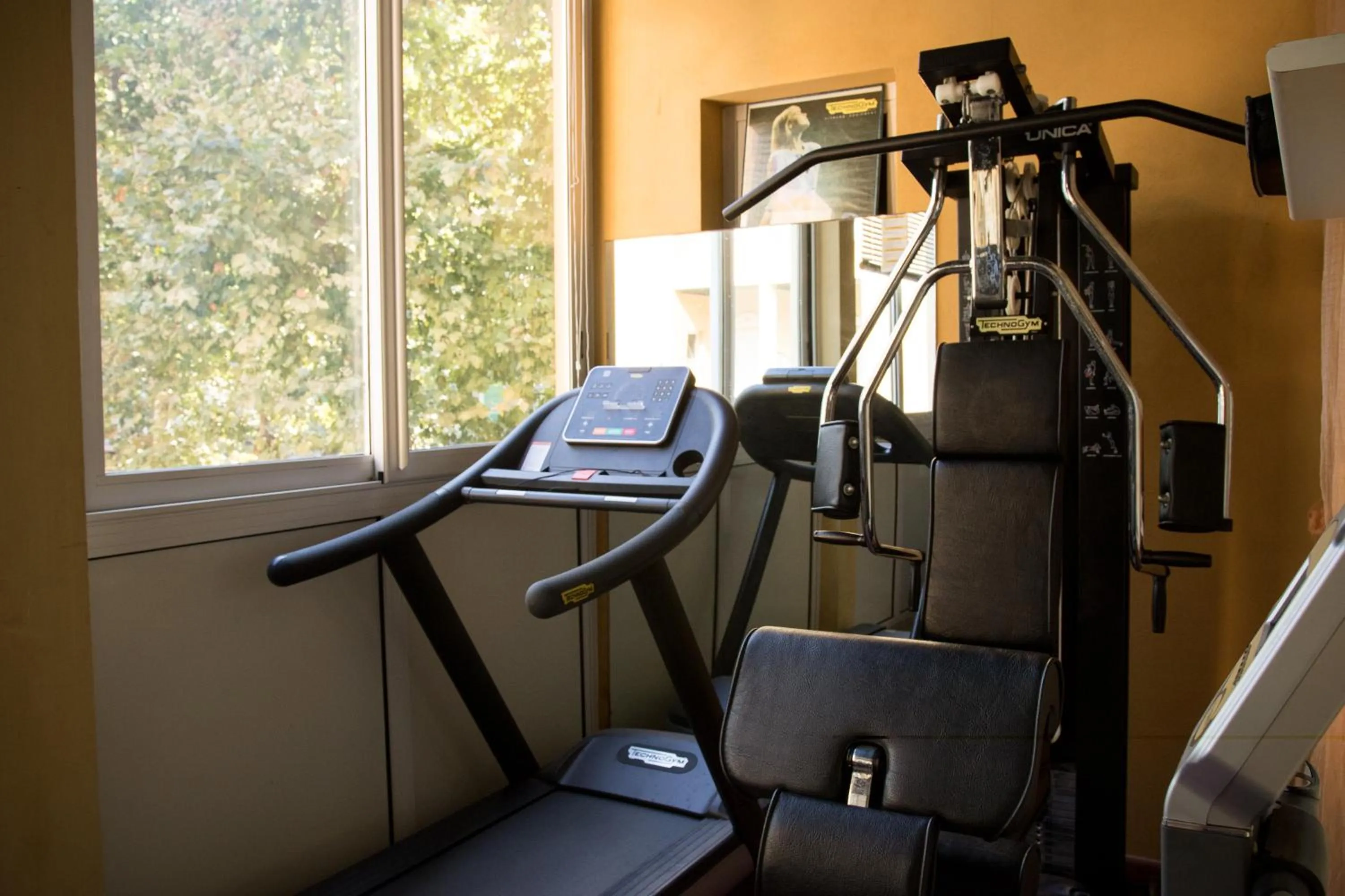 Fitness centre/facilities in Hotel Dei Platani