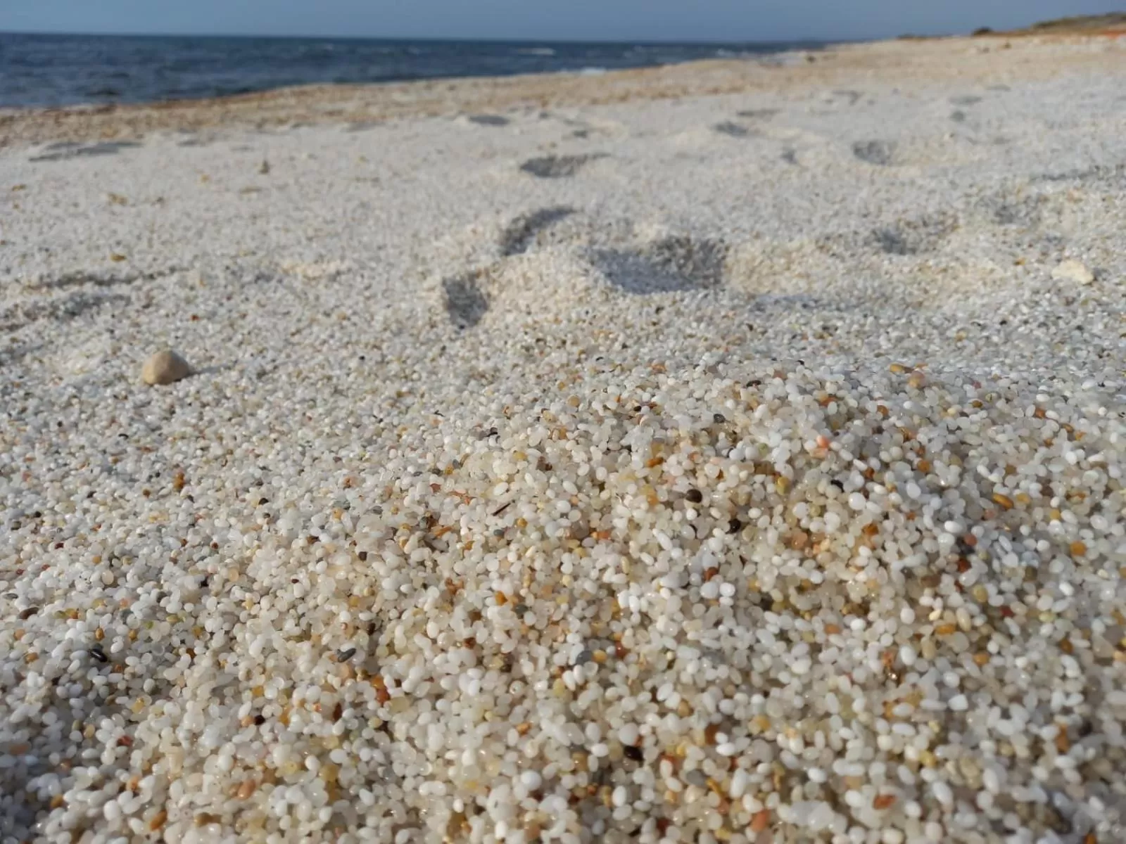 Beach in Bed & Breakfast Paui