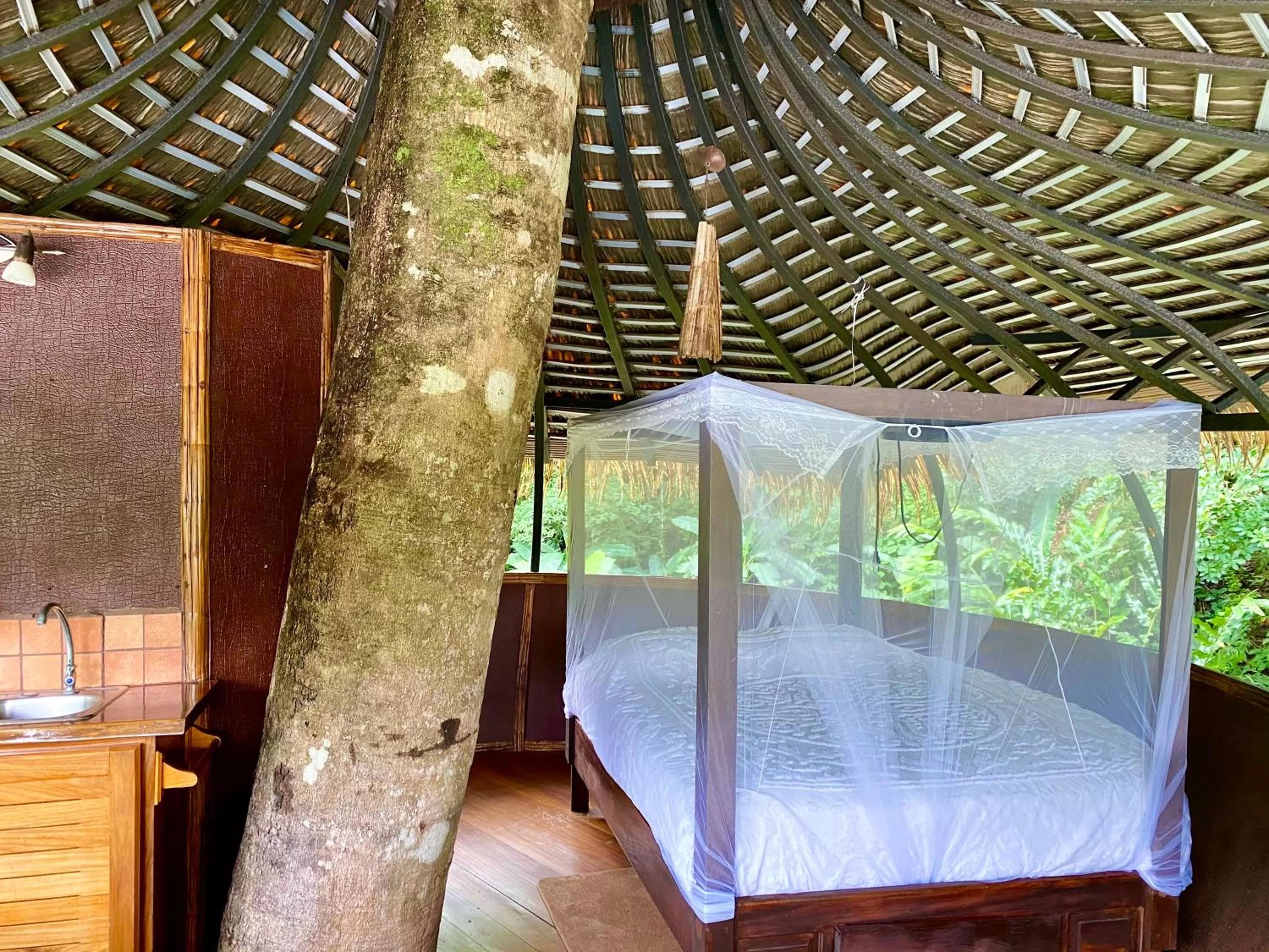 Photo of the whole room in Cabanas Rio Encantado