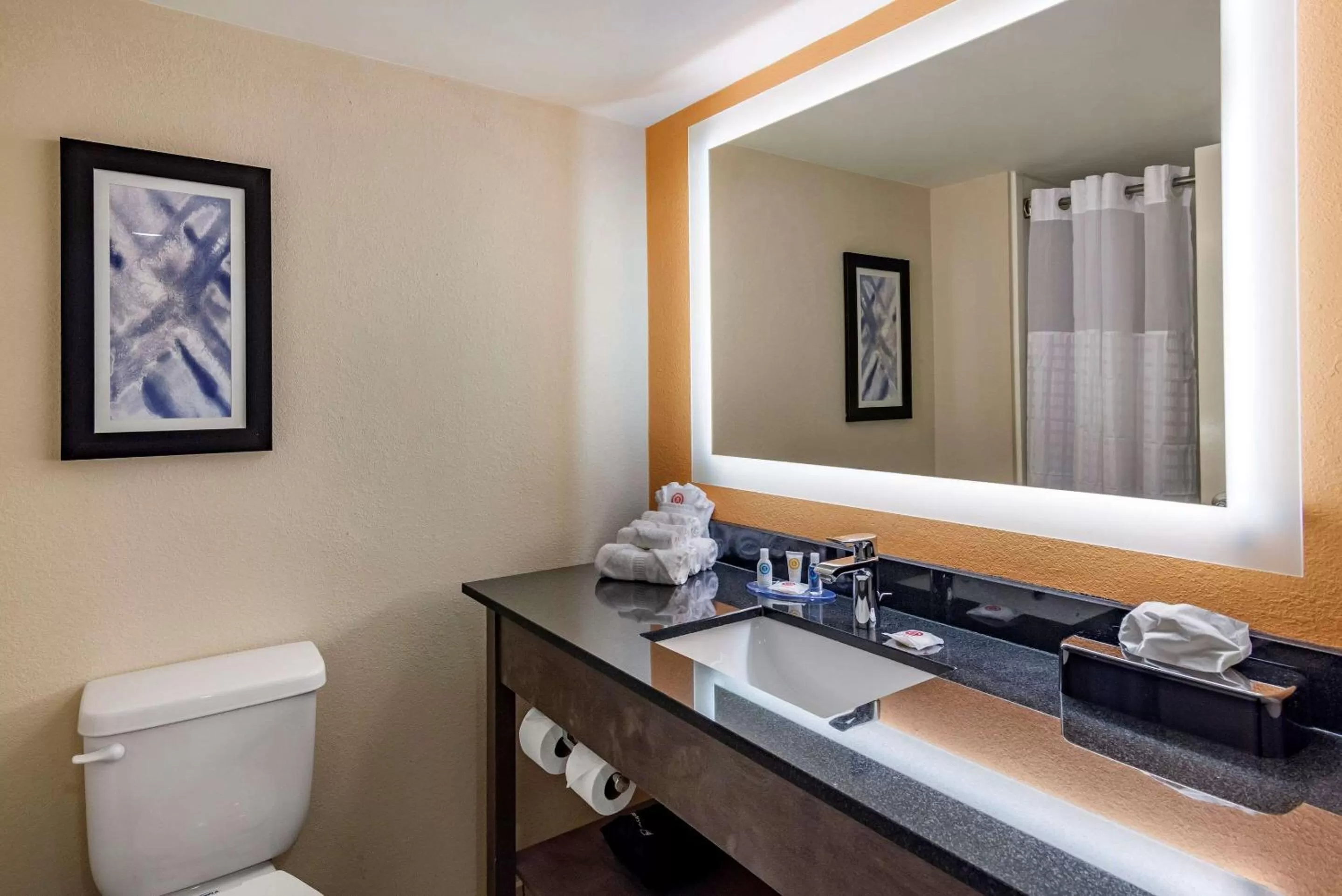 Bathroom in Comfort Suites Alpharetta-Roswell - Atlanta Area