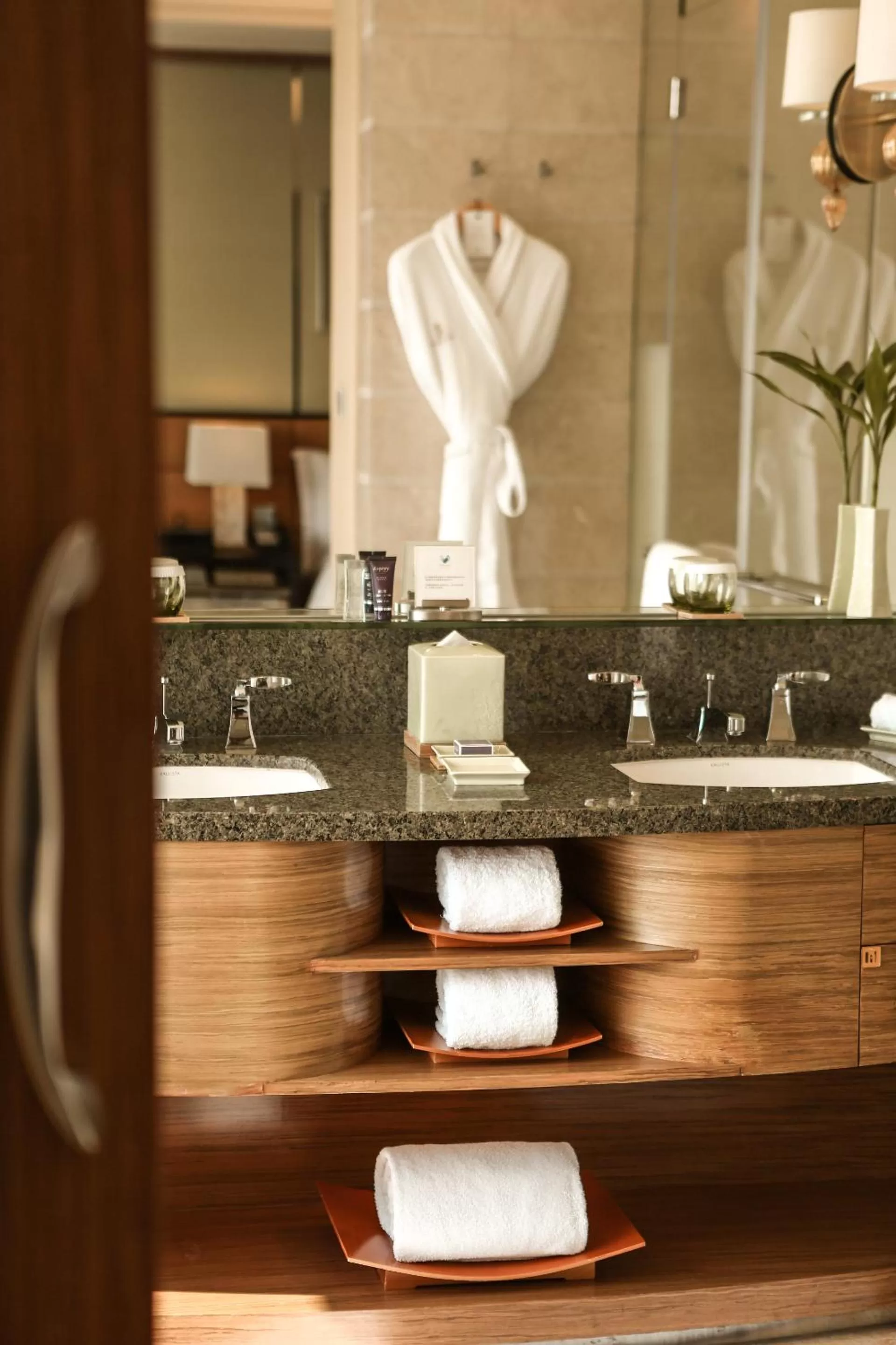 Toilet in The Ritz-Carlton, Shenzhen