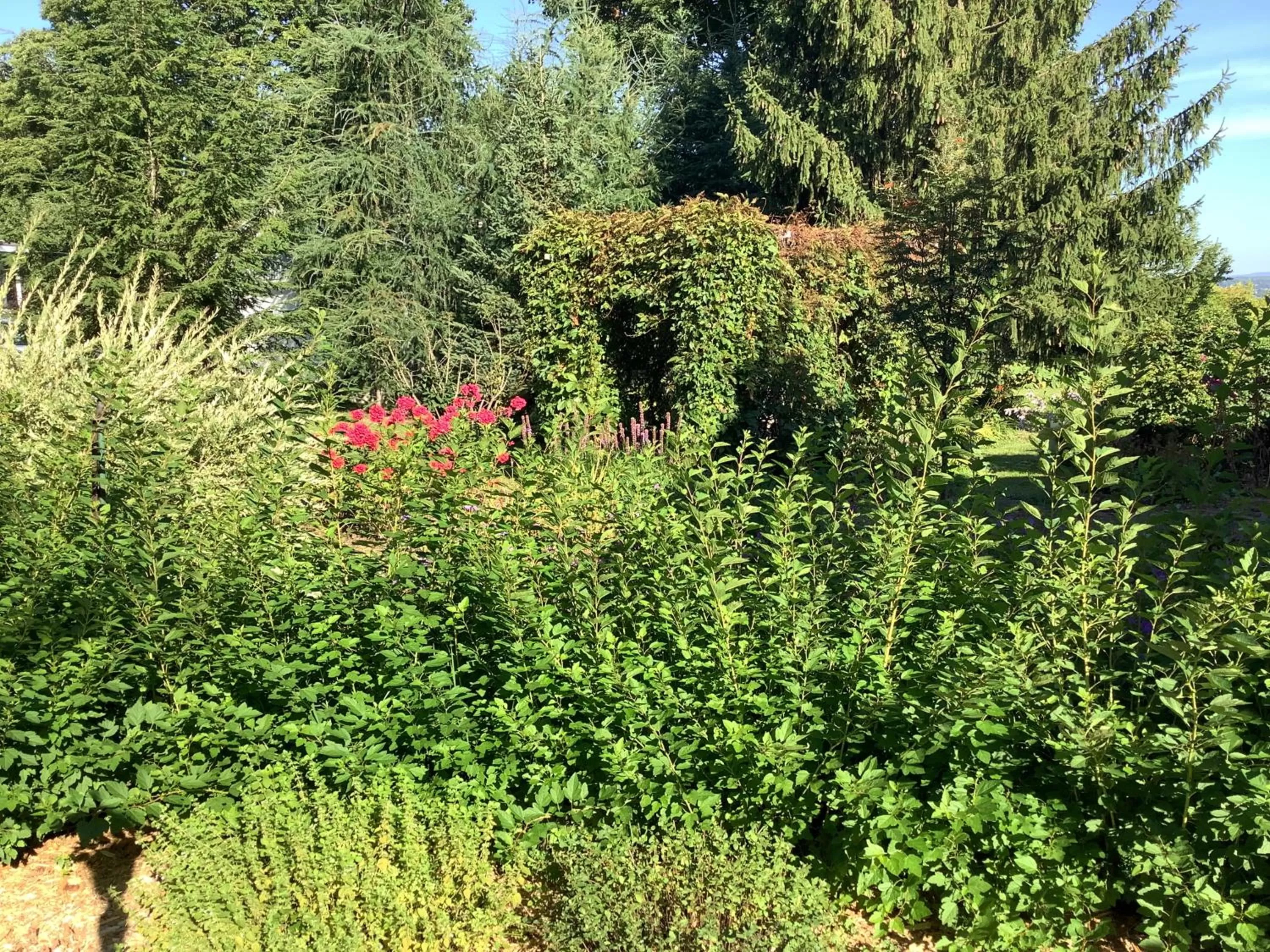 Les saisons du fleuve