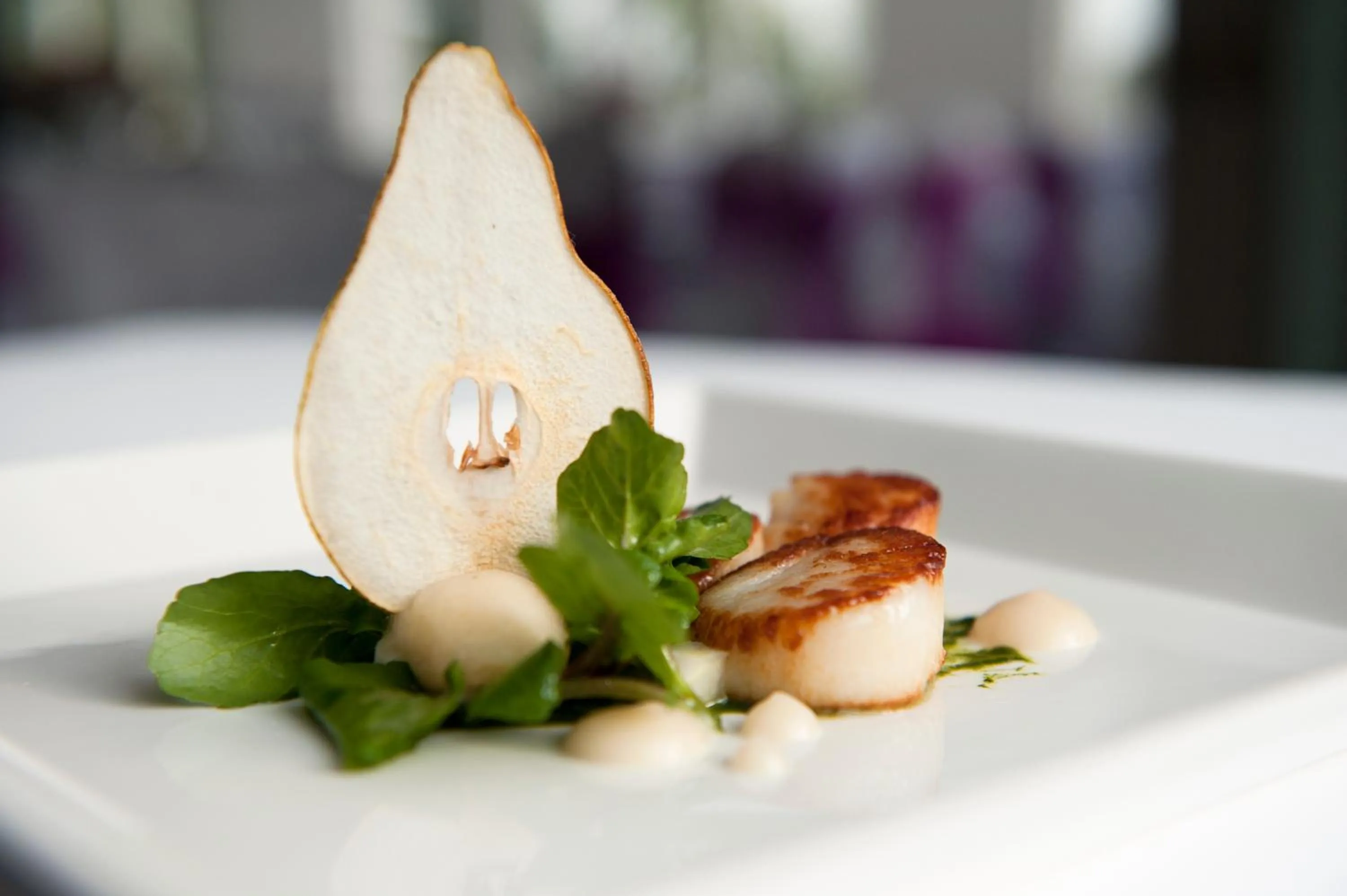 Food and drinks in Fishmore Hall Hotel and Boutique Spa