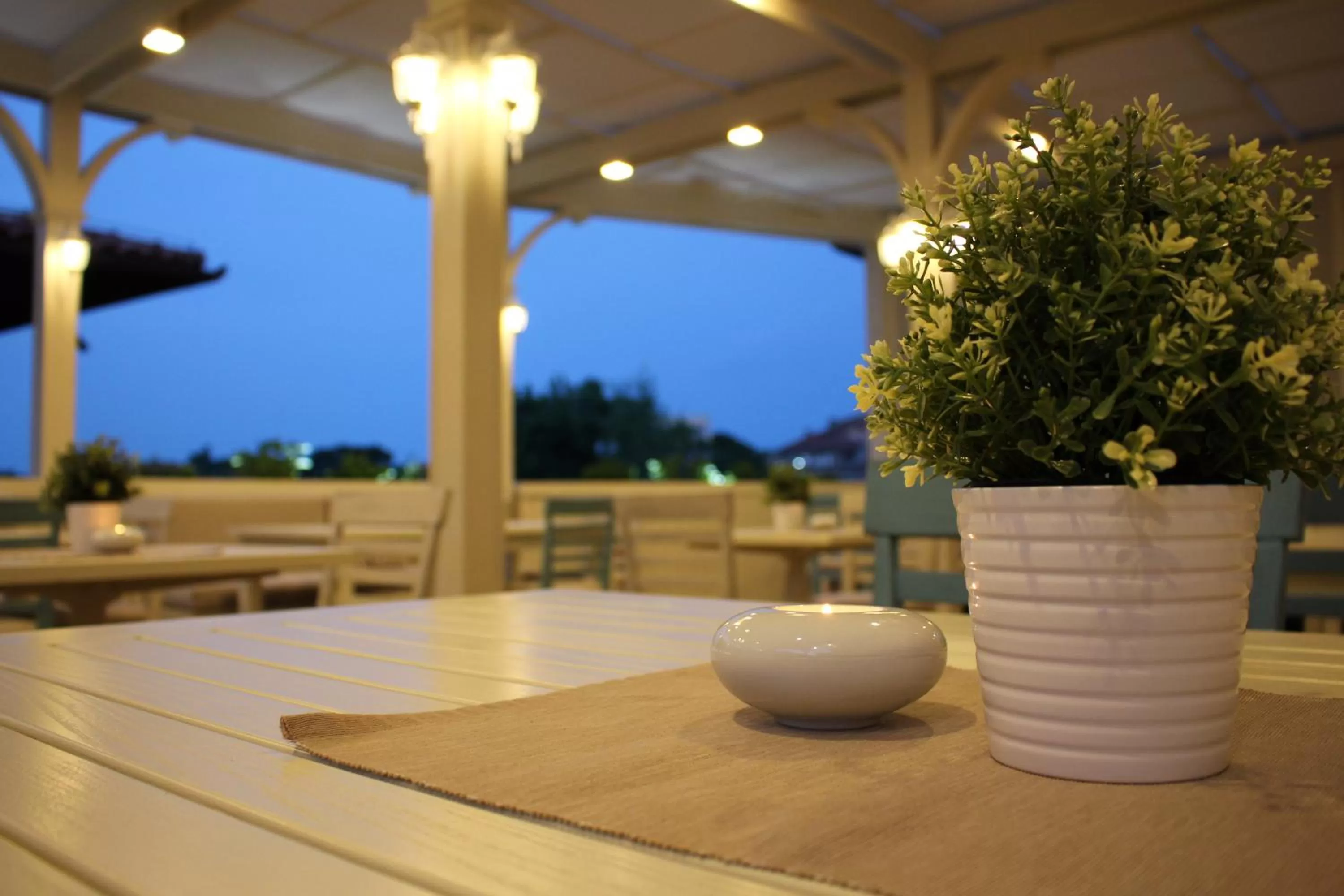 Lounge or bar in Hotel Nove