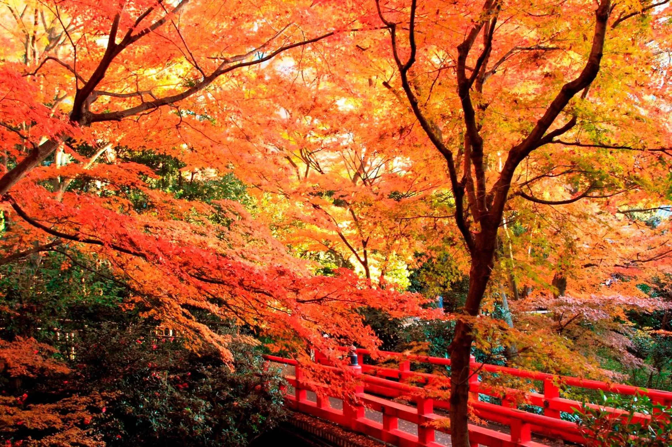 Natural landscape in Hotel Chinzanso Tokyo