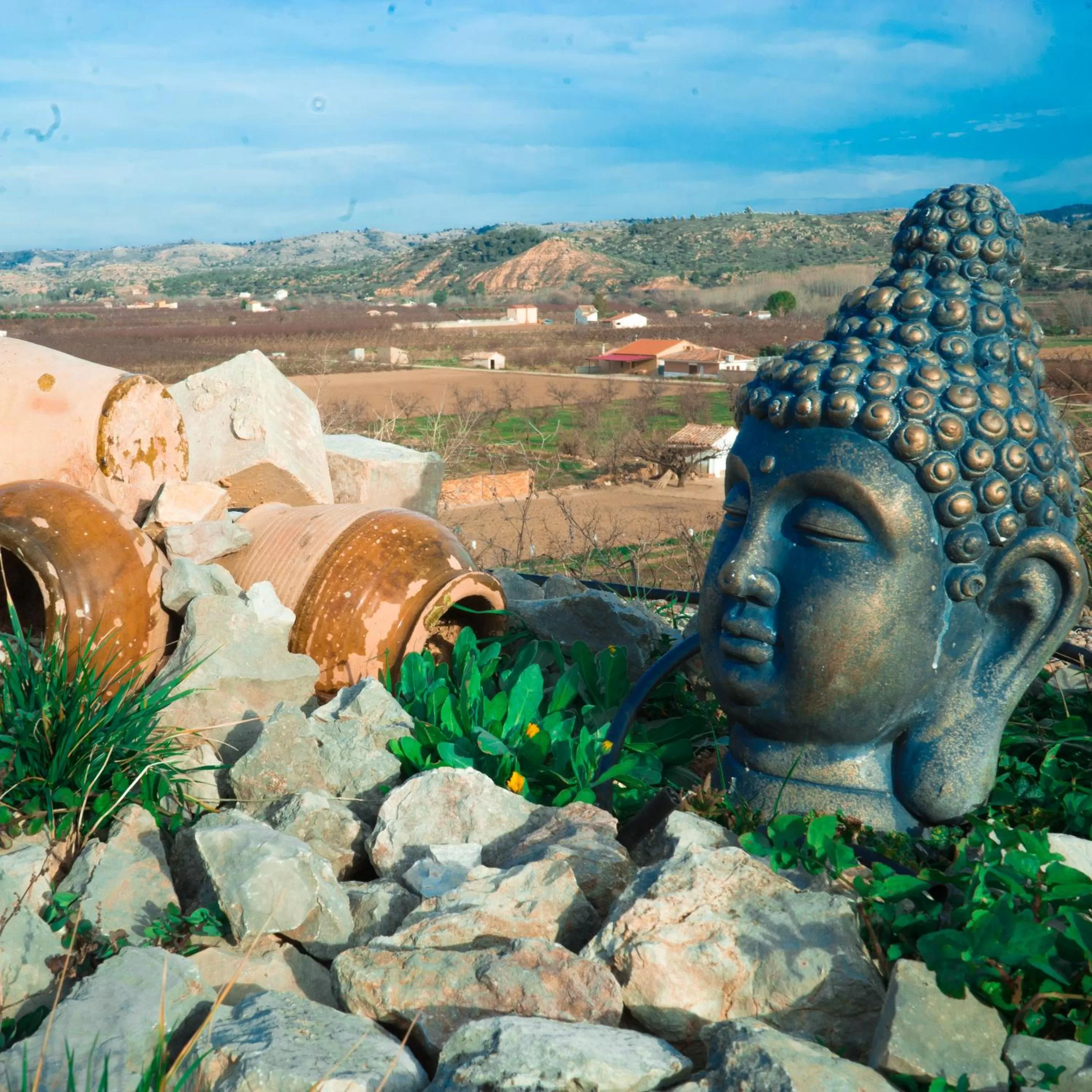 Day in Cabezo Buñuel Hostal