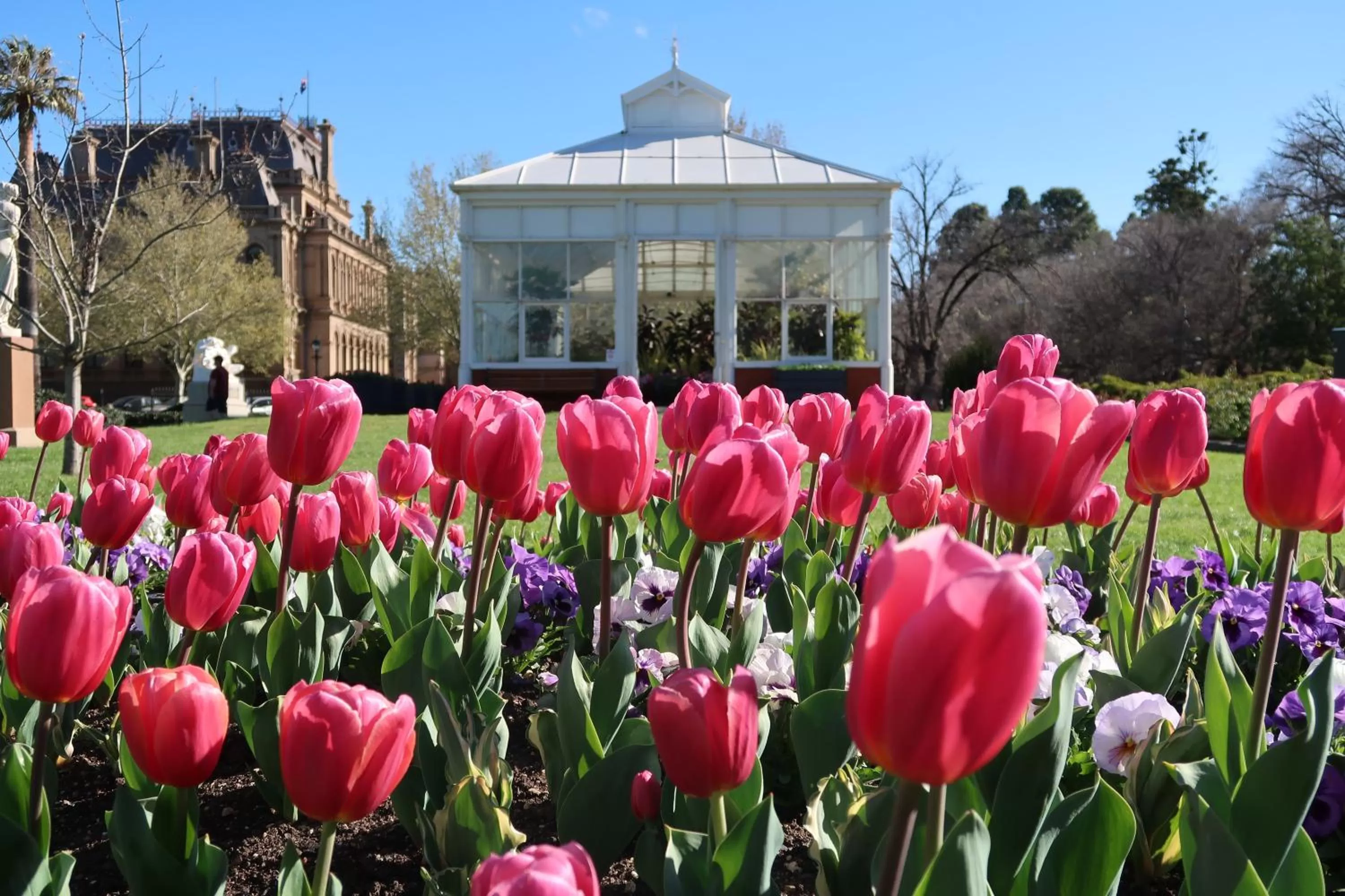 Spring in Julie-Anna, Bendigo
