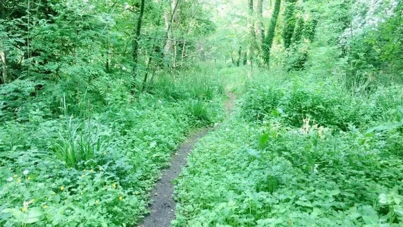 Lacken Millhouse and Gardens