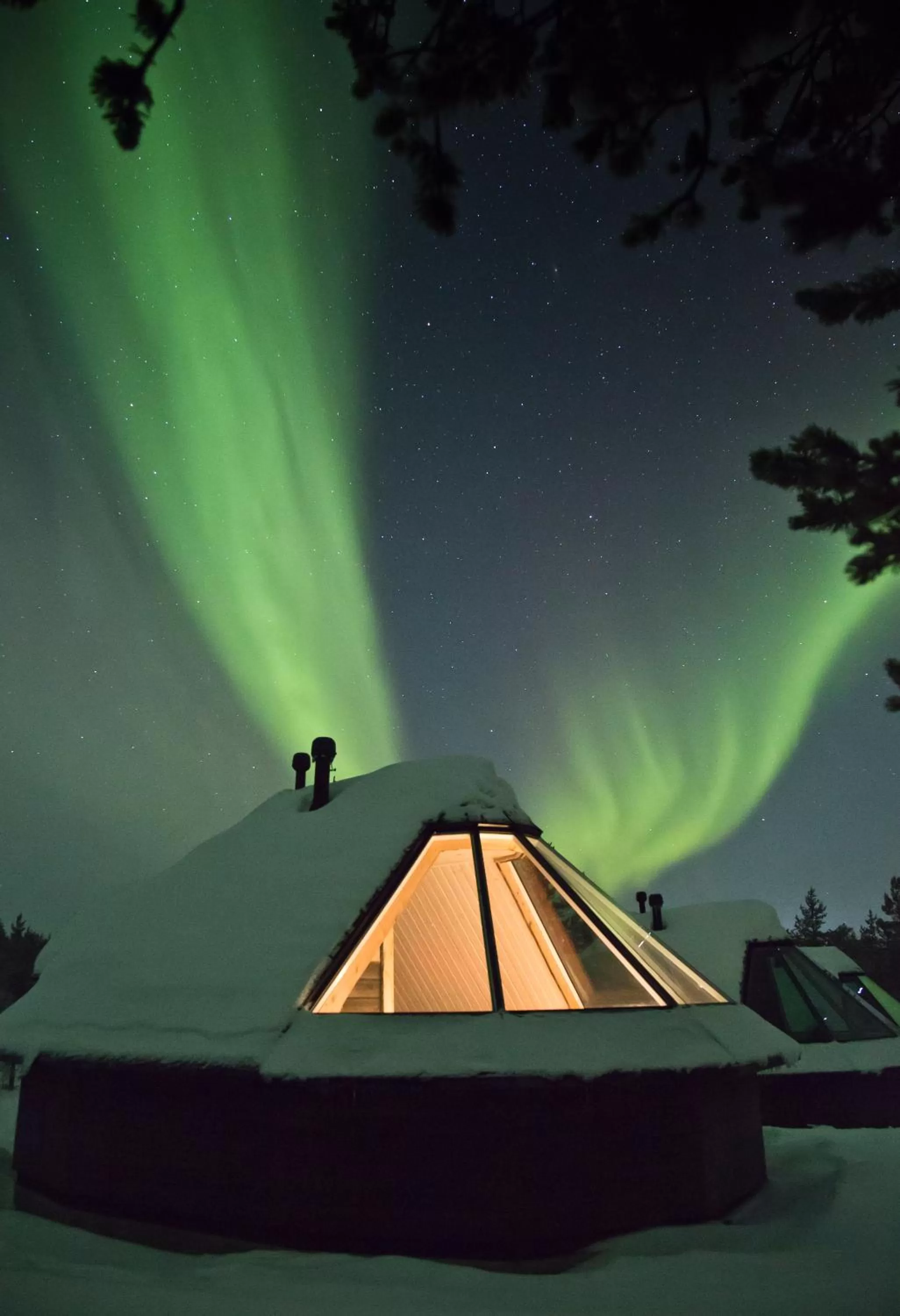 Photo of the whole room in Wilderness Hotel Nangu & Igloos
