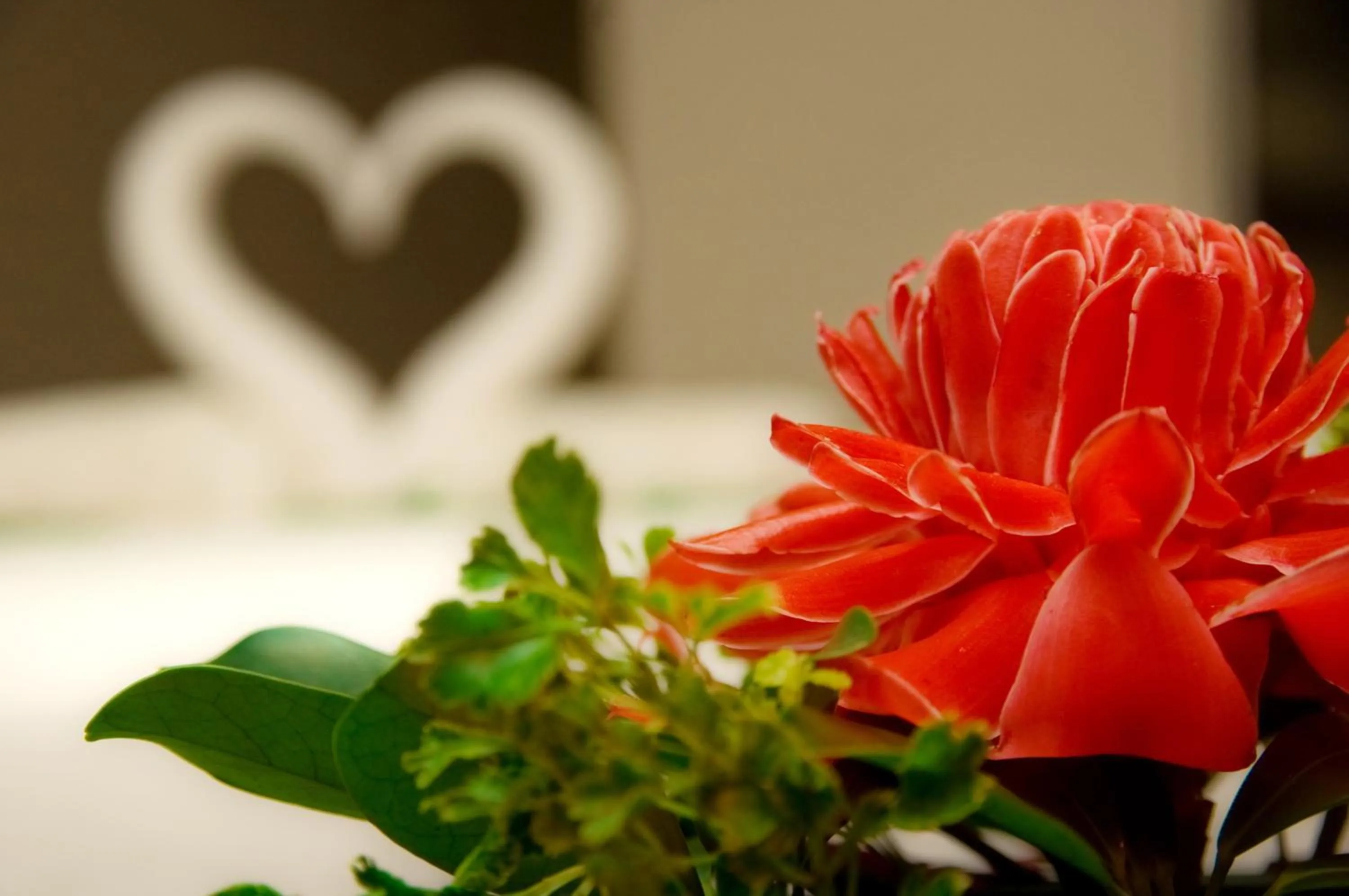 Other in Lub Sbuy Hostel