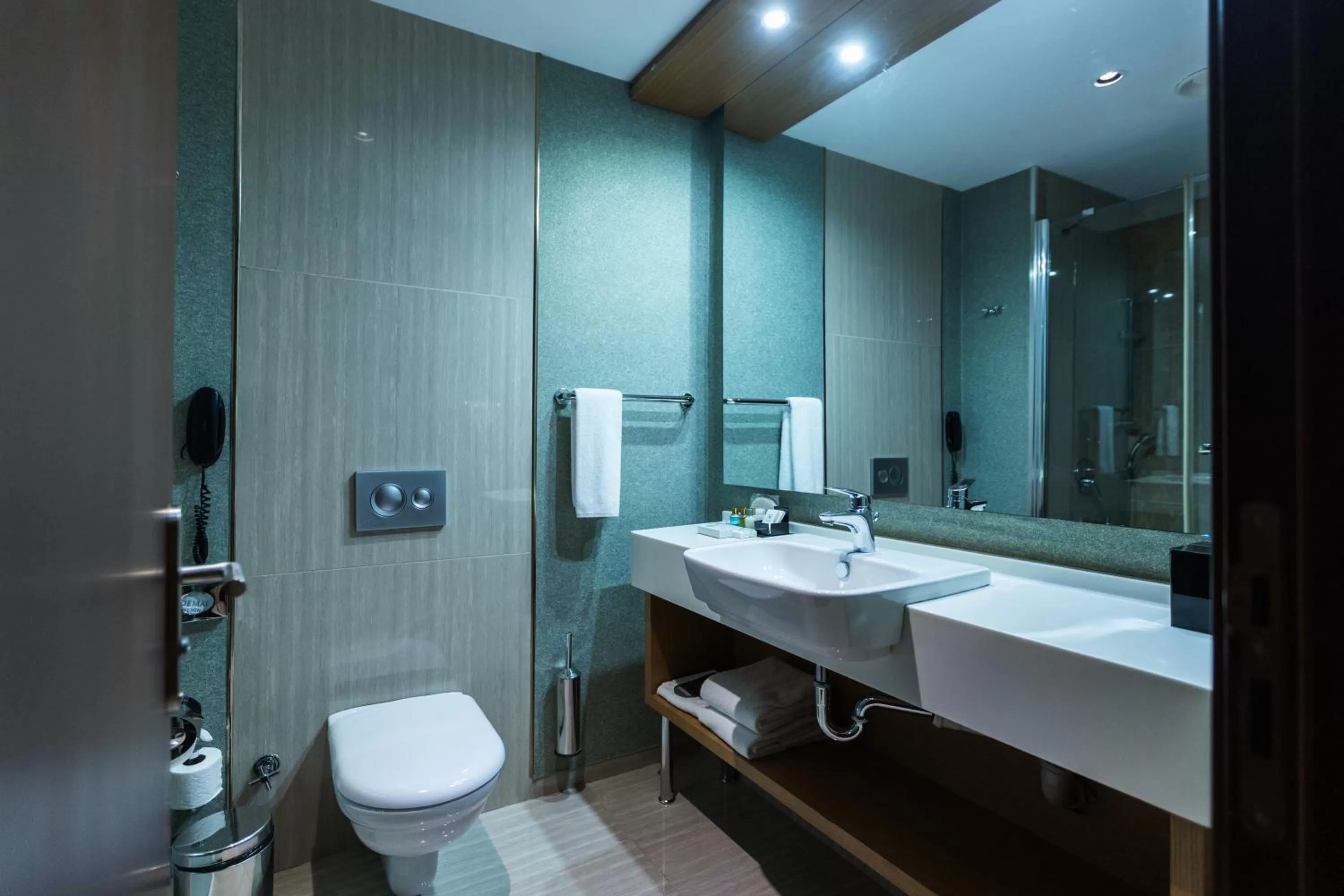 Bathroom in Dedeman Oskemen Hotel