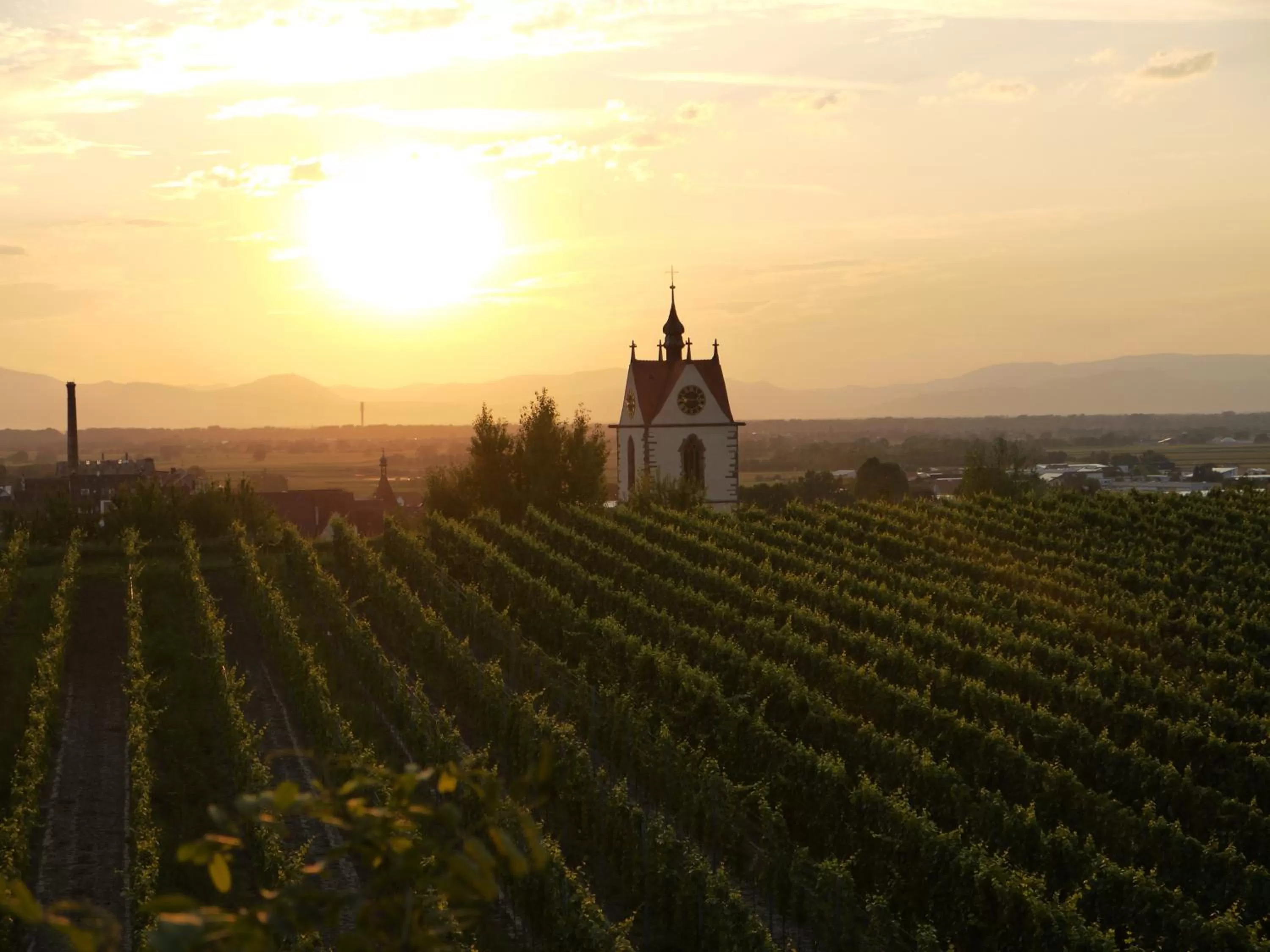 Neighbourhood in Hotel Engel