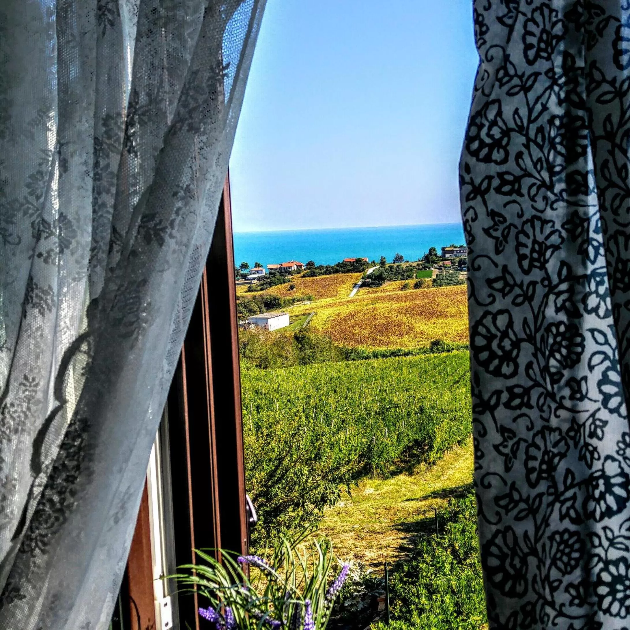 Natural landscape in Vistazzurra B&B