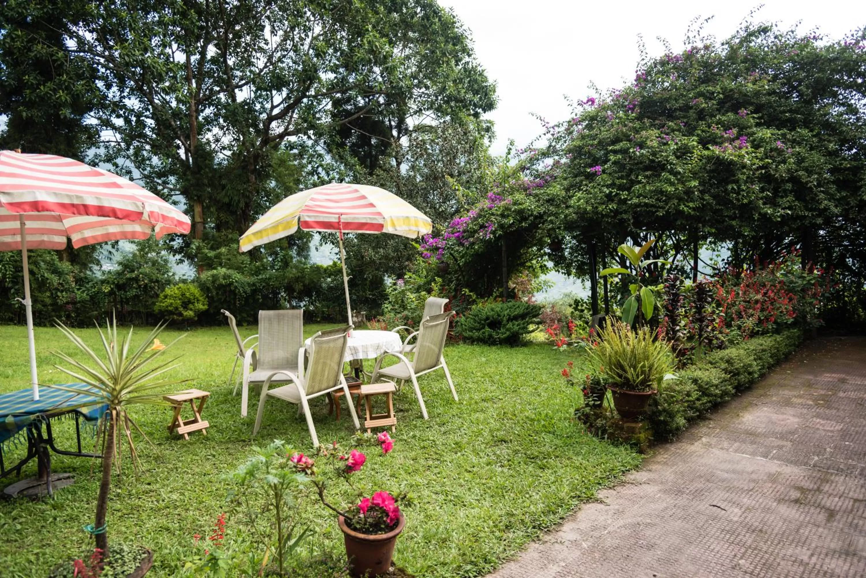 Garden in Singtom Tea Resort