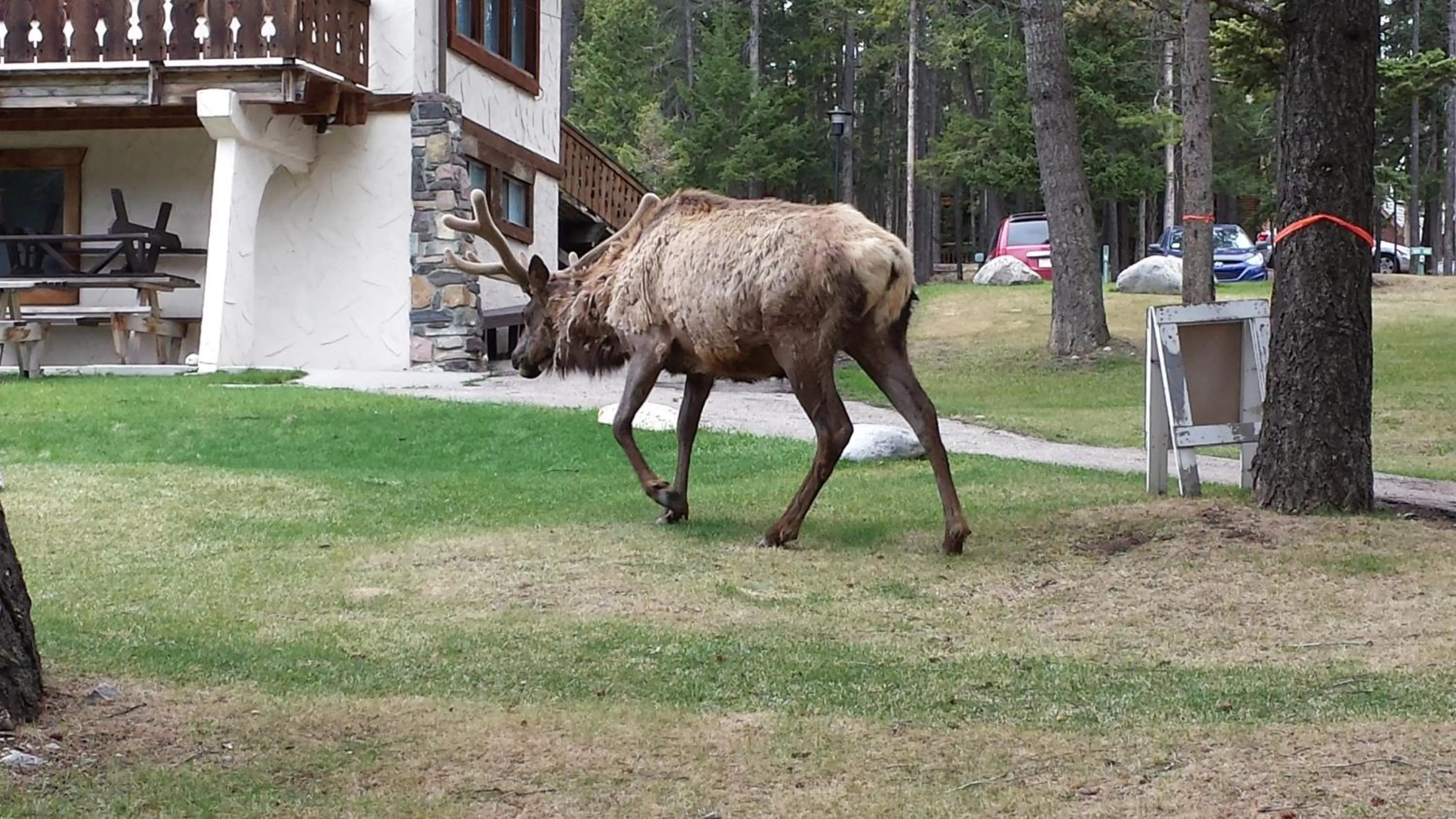 Facade/entrance in Douglas Fir Resort & Chalets