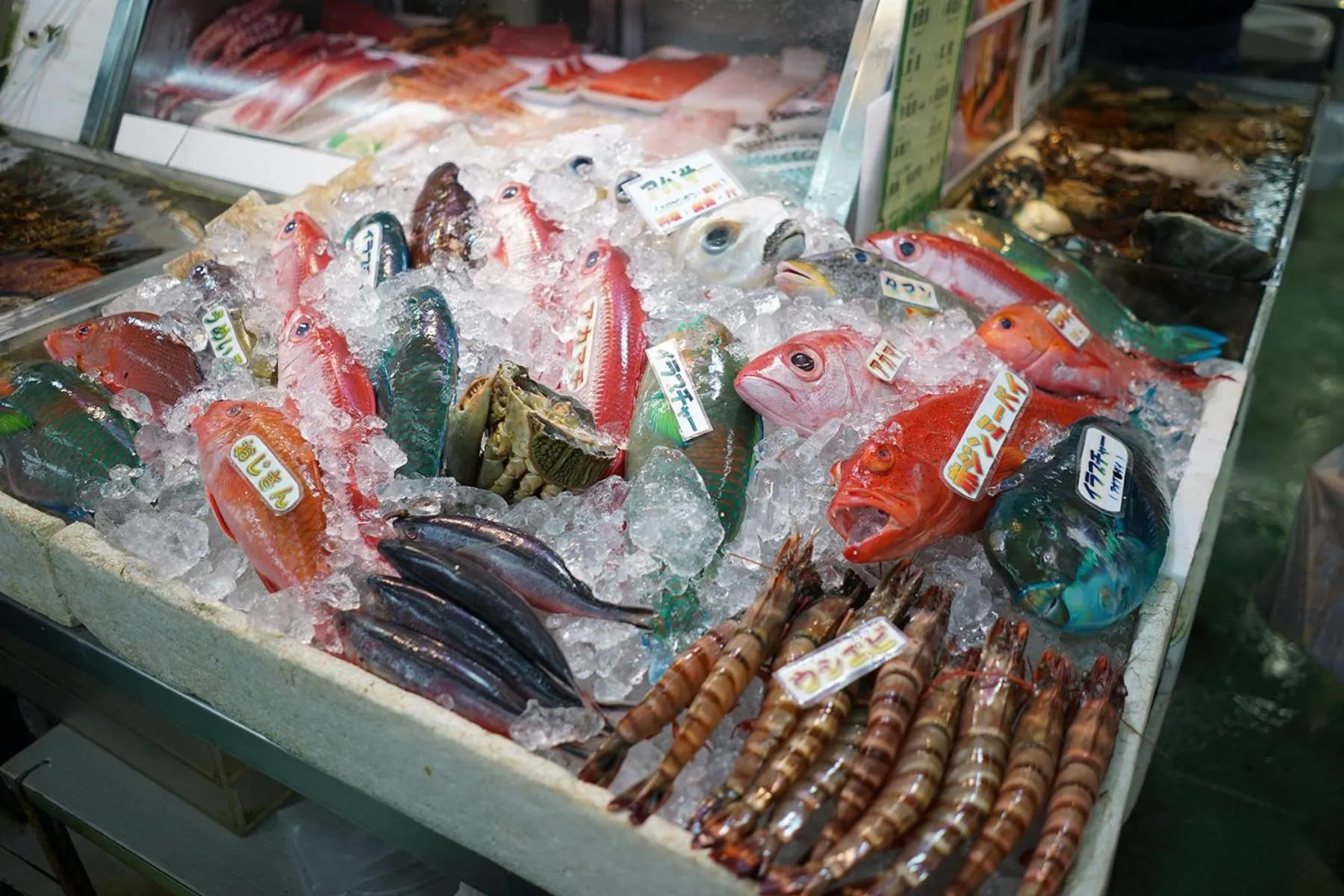 Activities in HOTEL SANSUI NAHA Ryukyu Onsen Naminoue-No-Yu