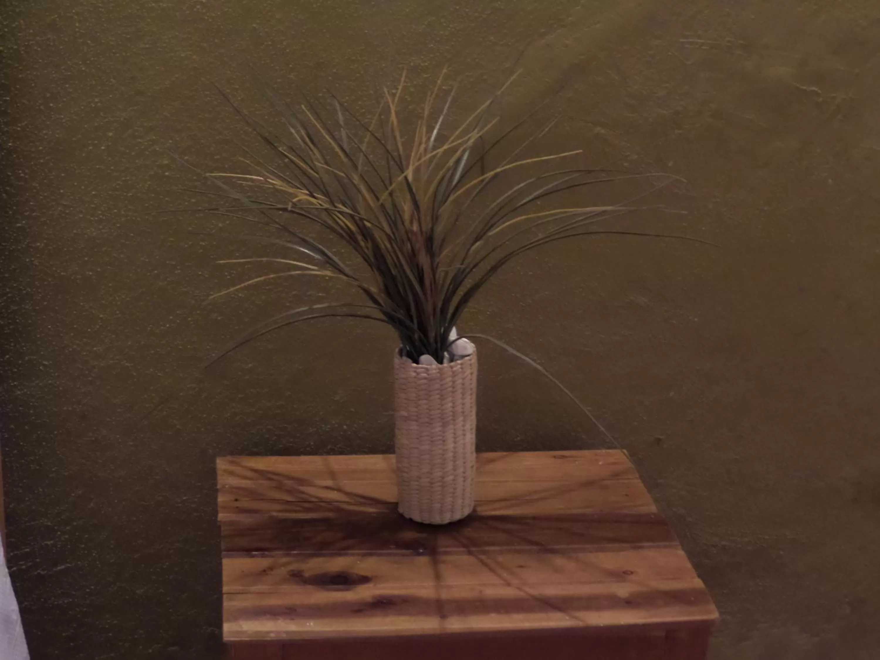 Decorative detail in Hotel Casa de Vino