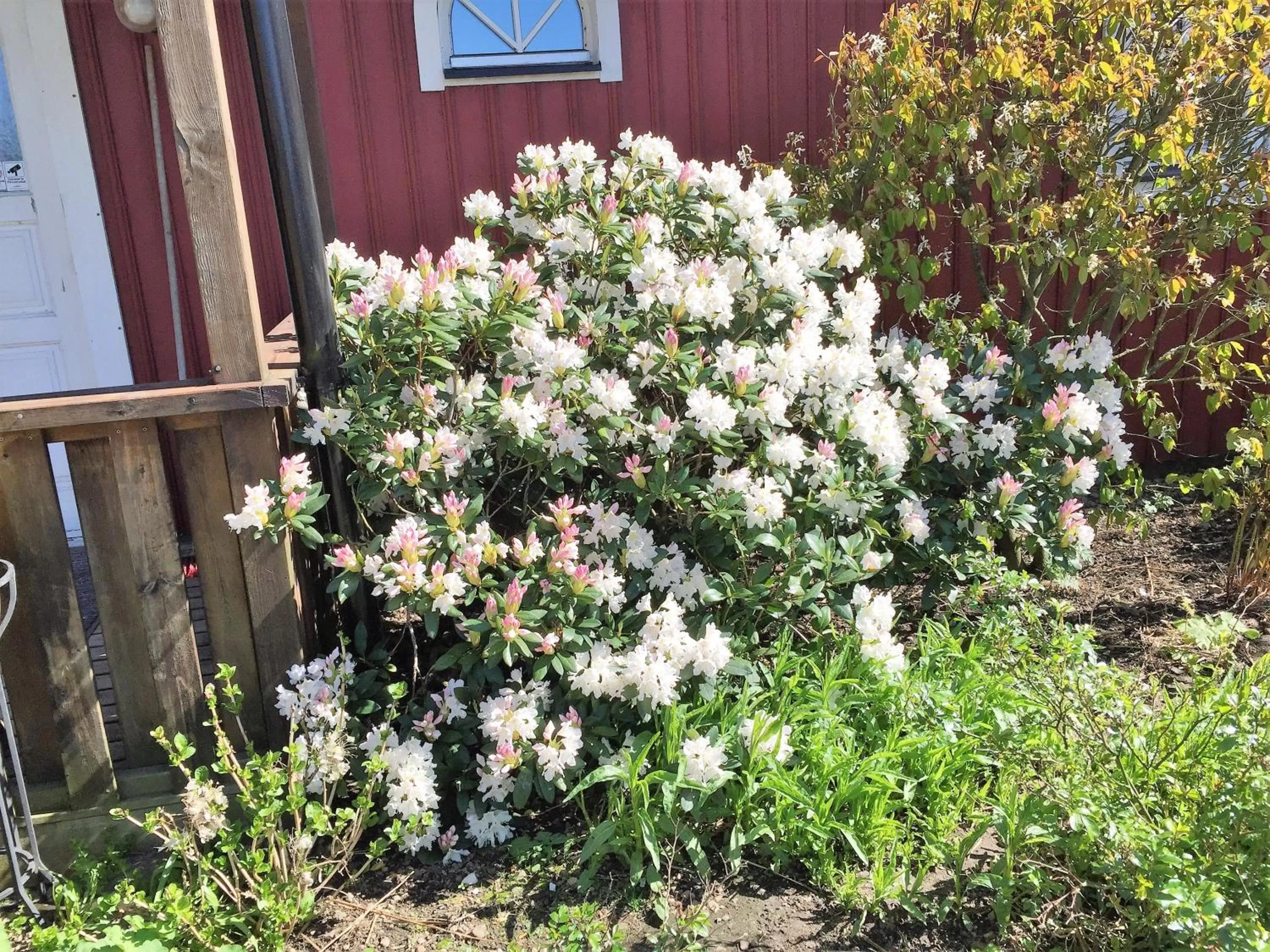 Other in Mattisgården Bed & Breakfast