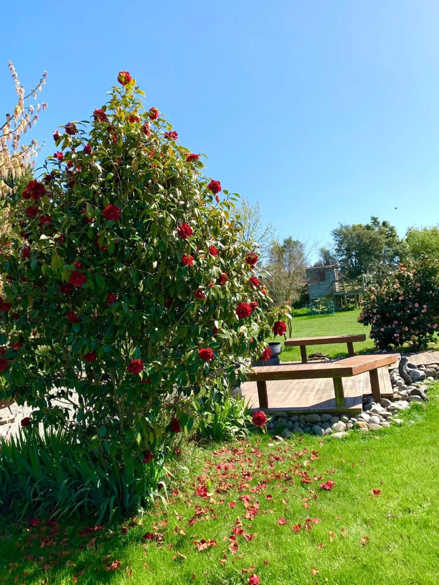 Natural landscape in Newlands Bed and Breakfast