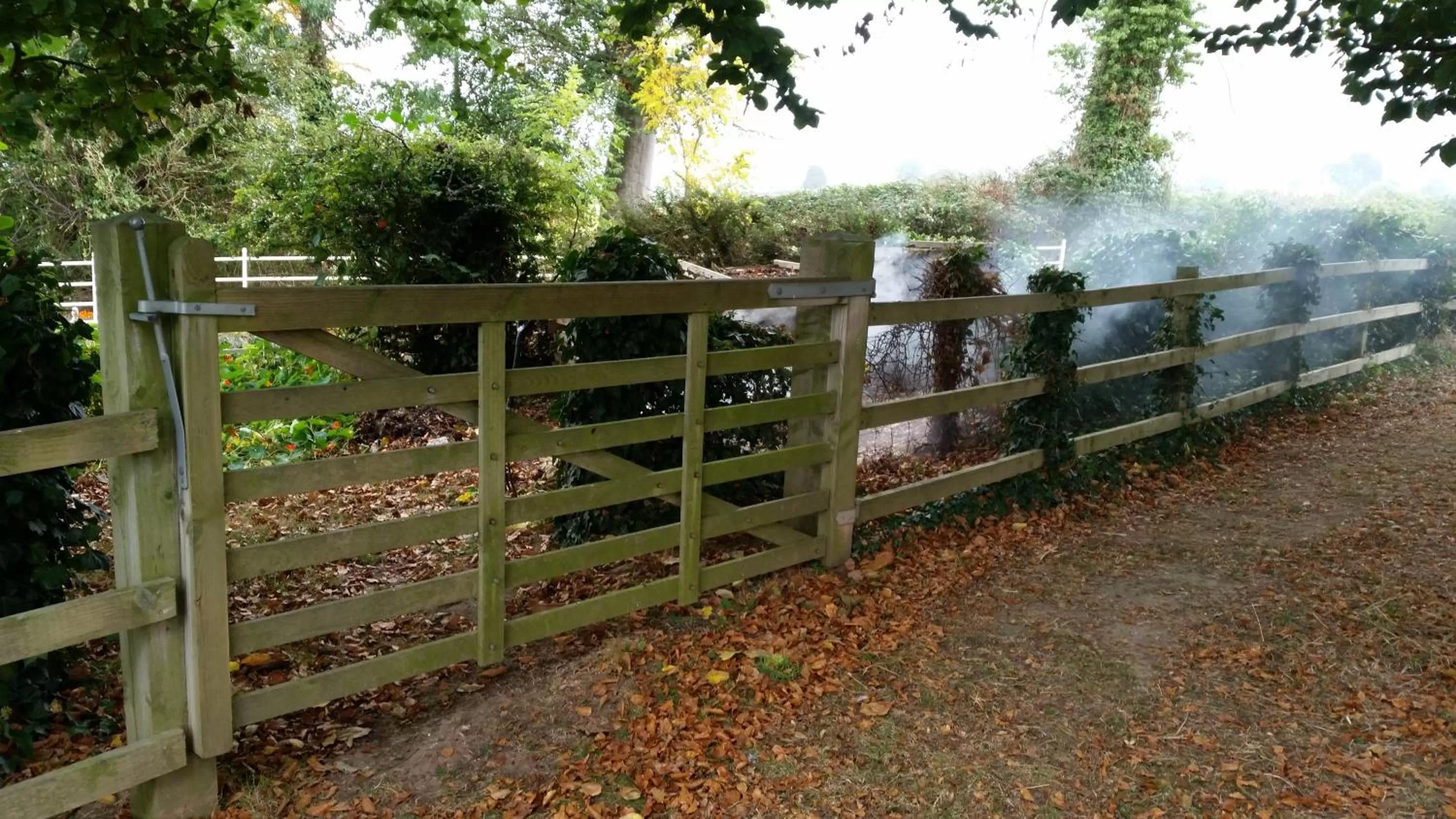 Ty Derw Country House B&B