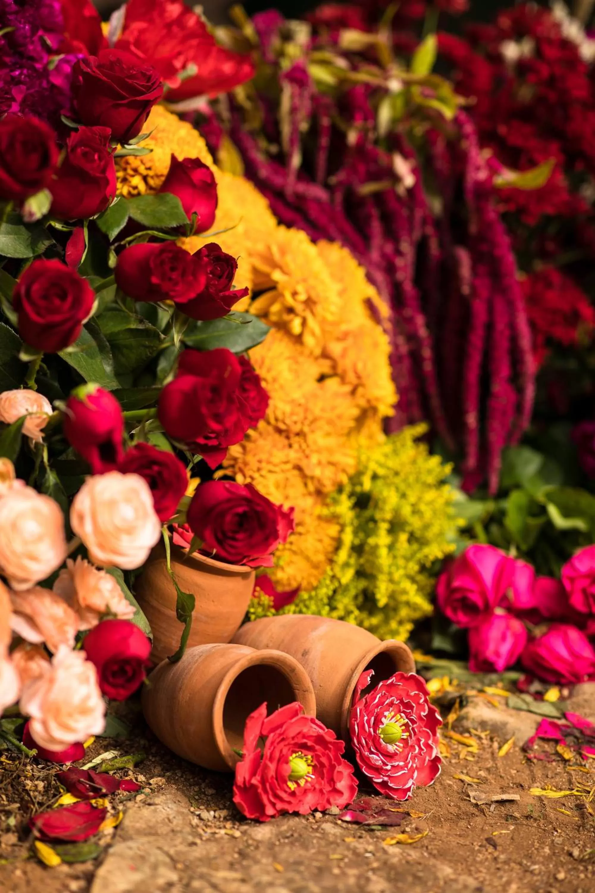 Other in Hacienda Temozon Sur