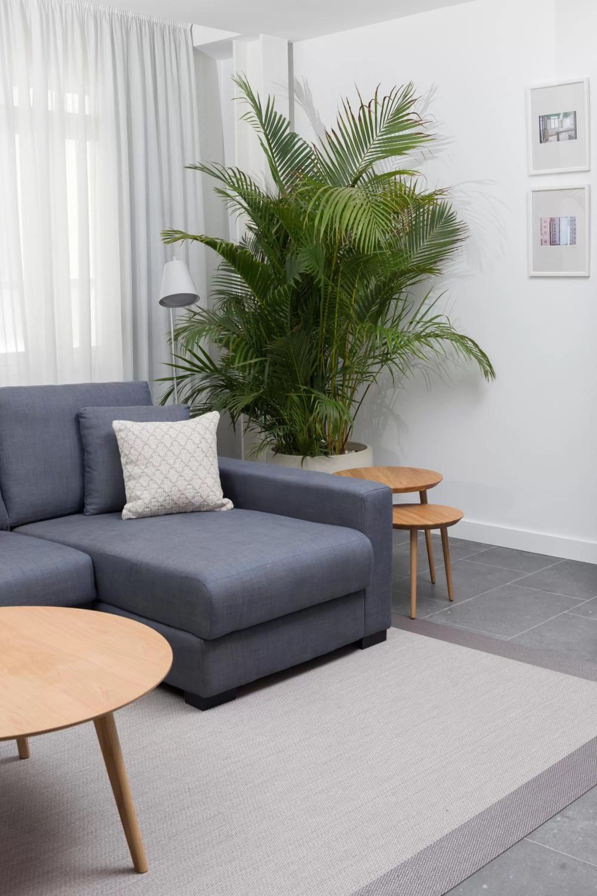 Living room in Suites 1478