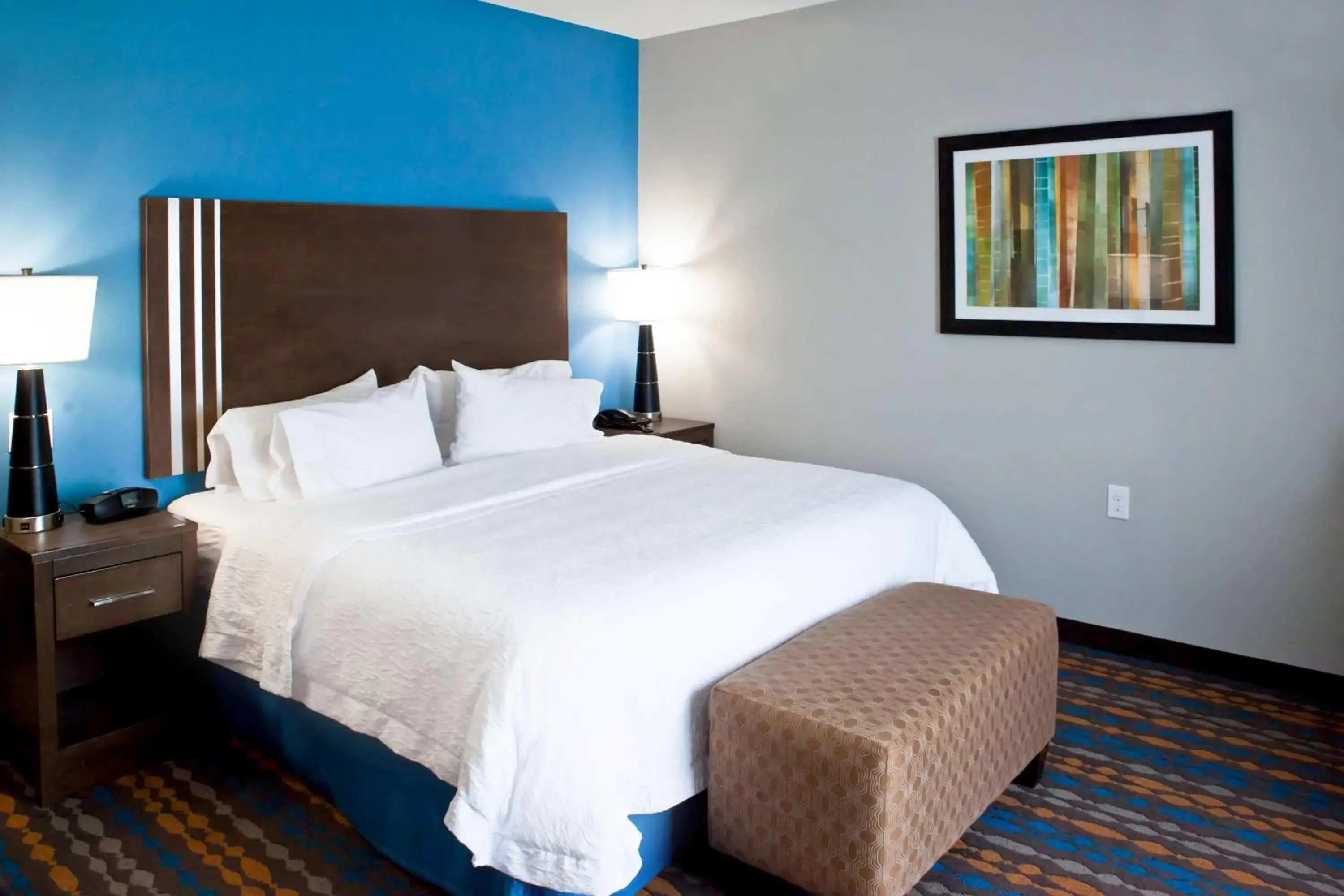 King Room - Non-Smoking in Hampton Inn Kenedy King Room - Non-Smoking in Hampton Inn Kenedy