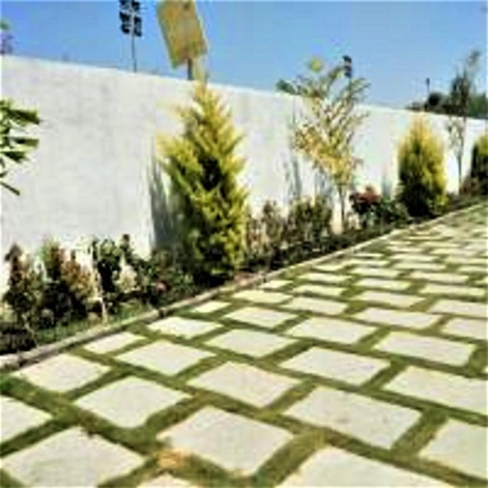 Garden in Hotel Krishna Exotica