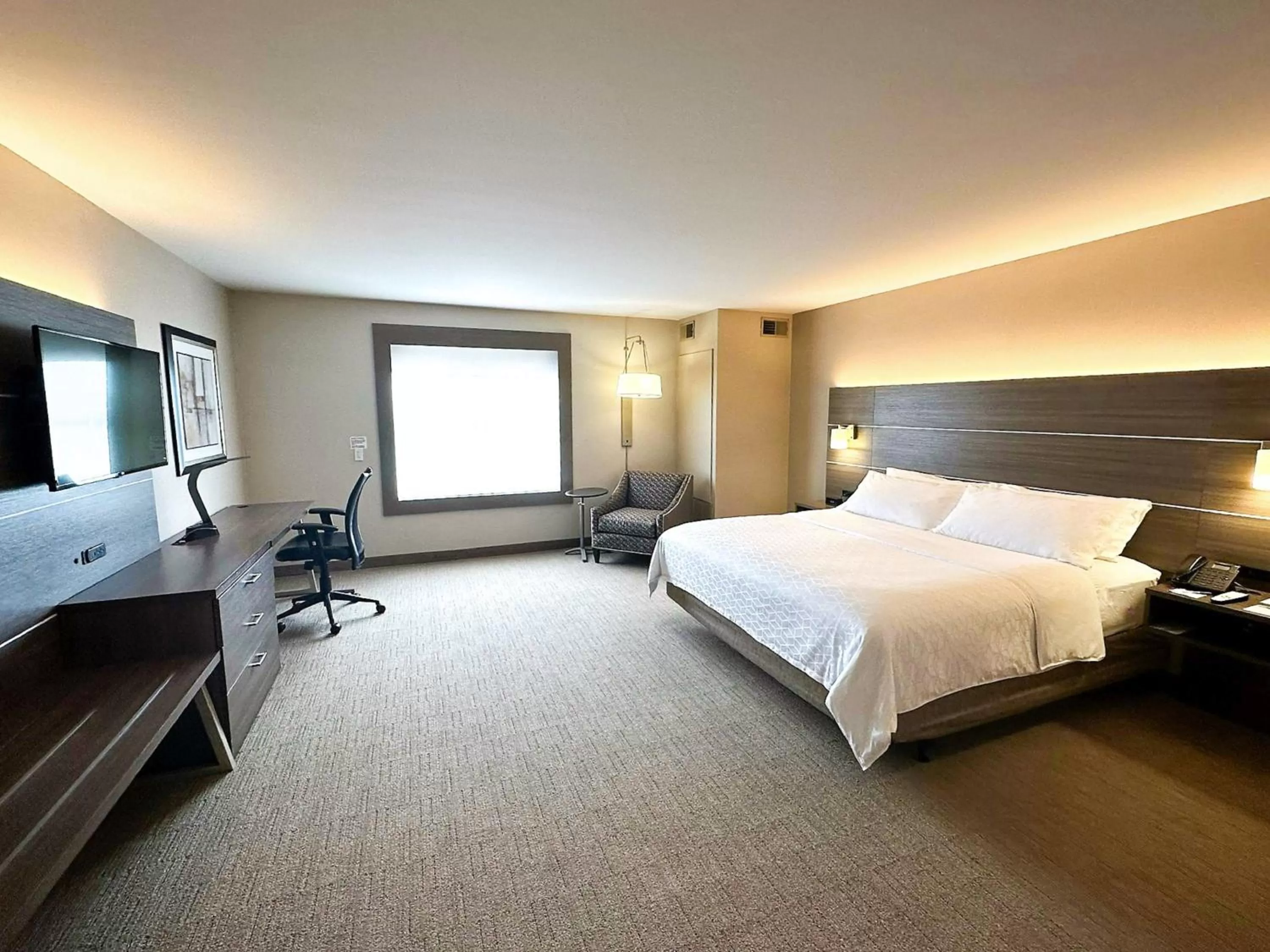 Photo of the whole room, Bed in Holiday Inn Express & Suites Plymouth - Ann Arbor Area by IHG