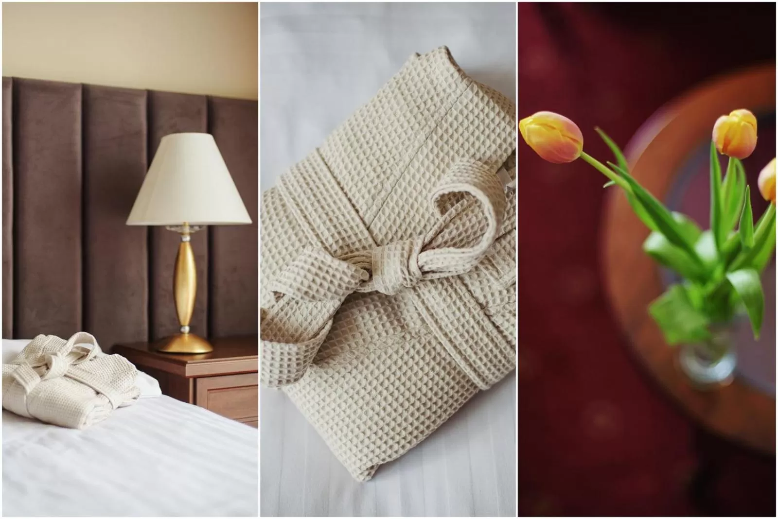 Luxury Single Room in Lila Medical SPA