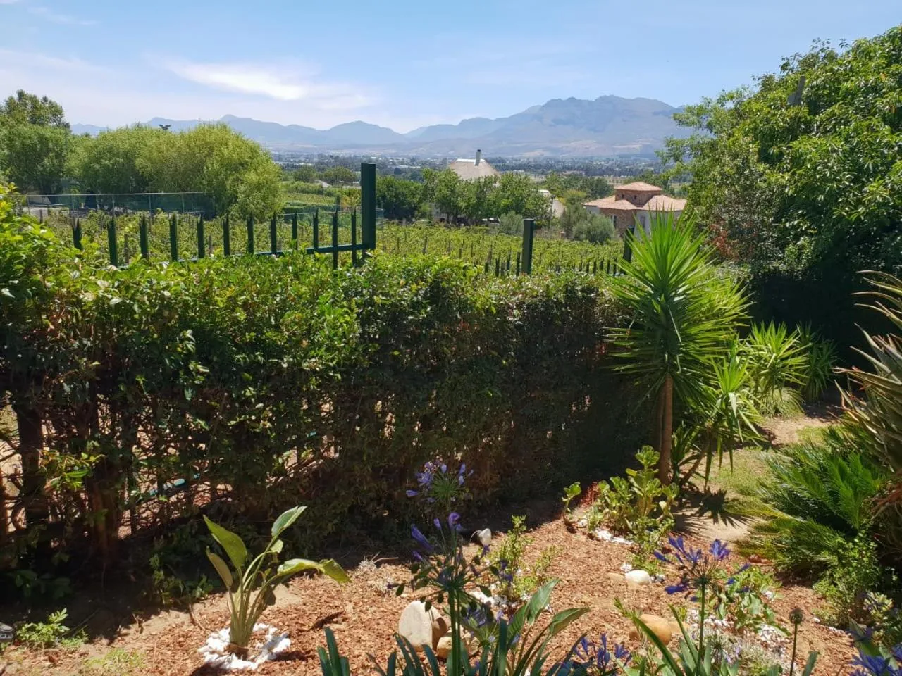 De Wingerd Wijnland Lodge