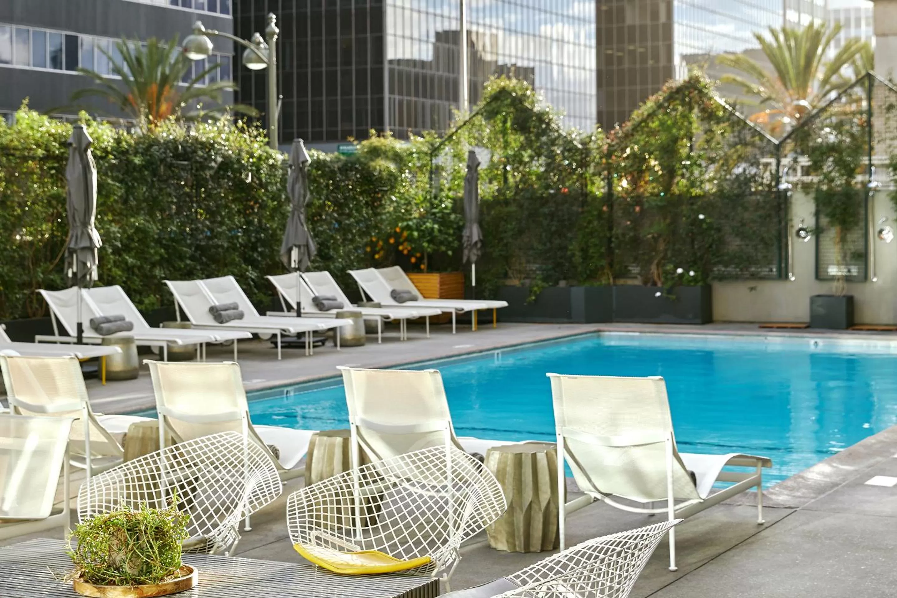 Swimming pool in The LINE Hotel LA