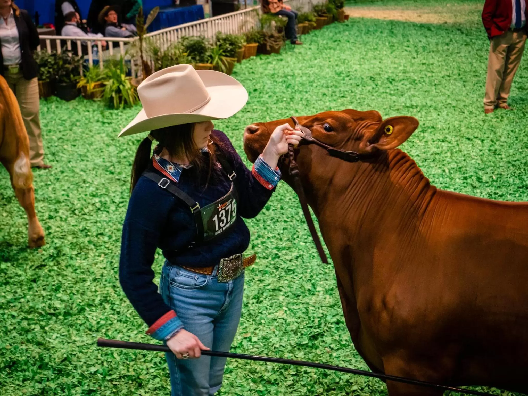 Nearby landmark in Staybridge Suites - Houston - Galleria Area by IHG
