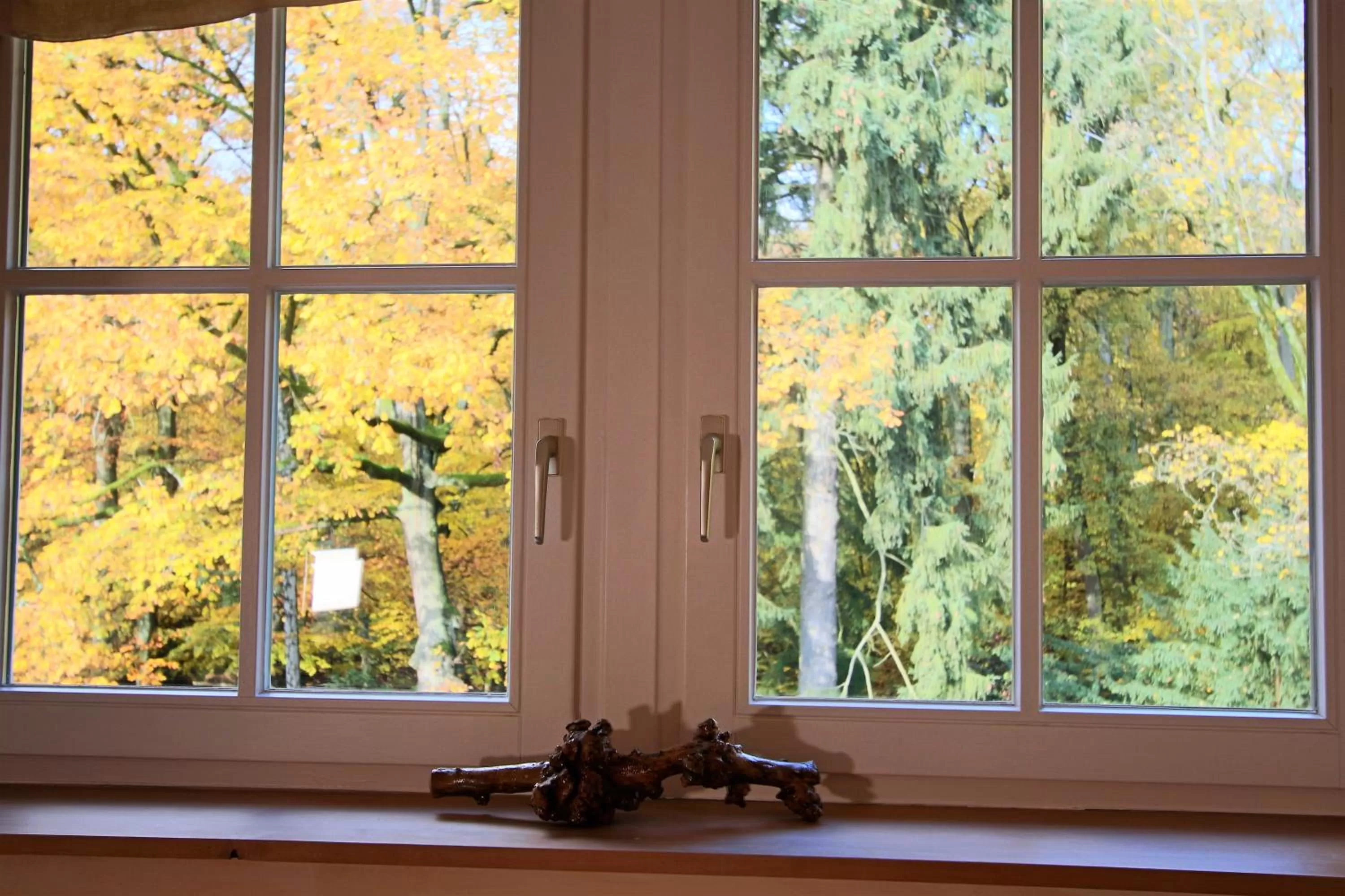 View (from property/room) in Hardtwald Hotel