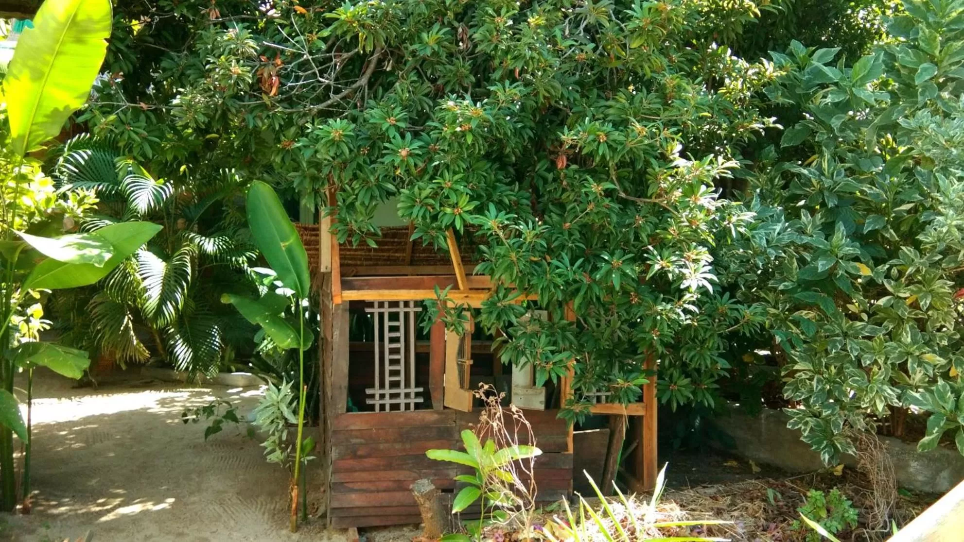 Children play ground in Café des Arts Gili Air
