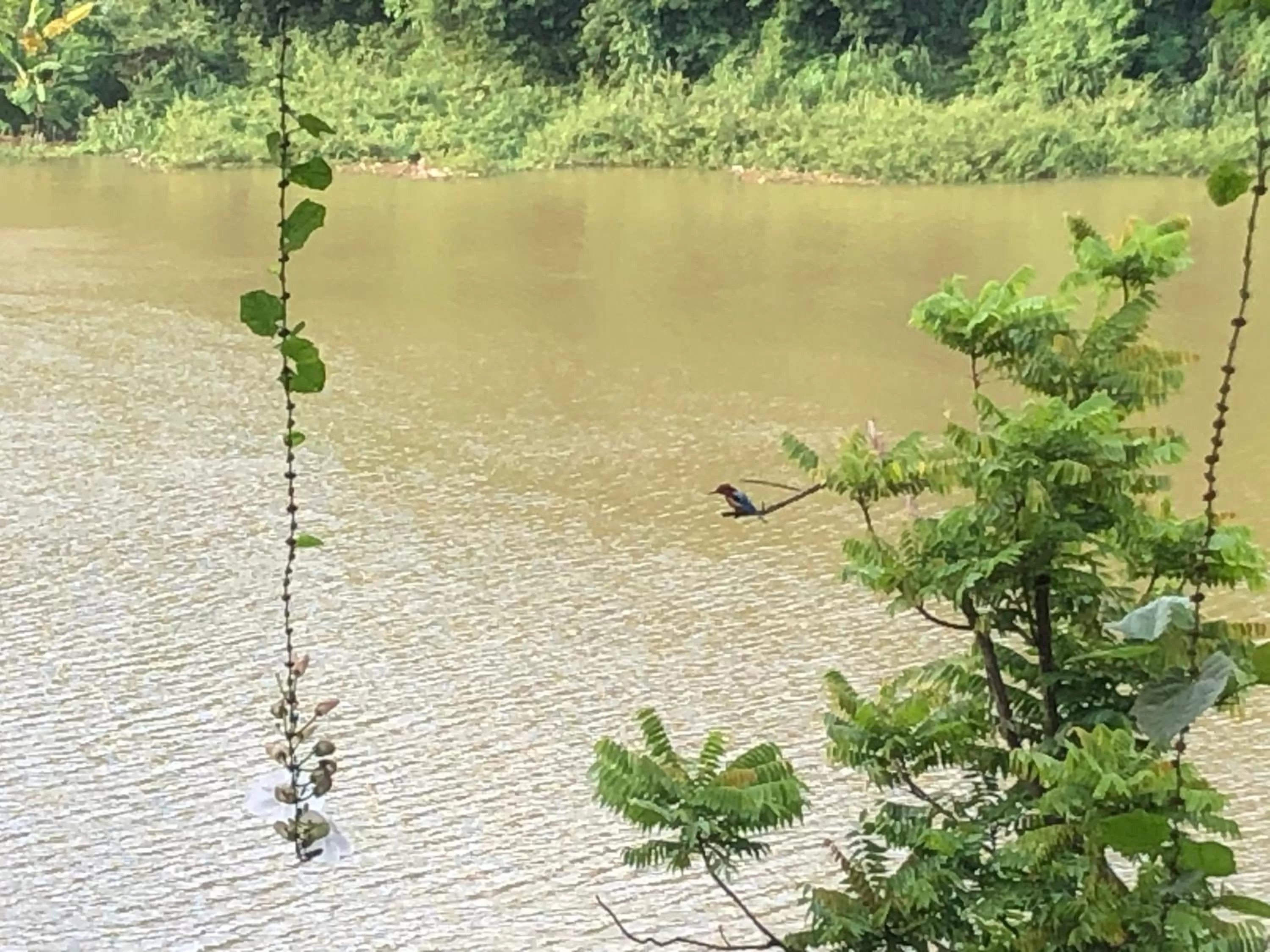 Kandy Rivers Edge Nature Resort