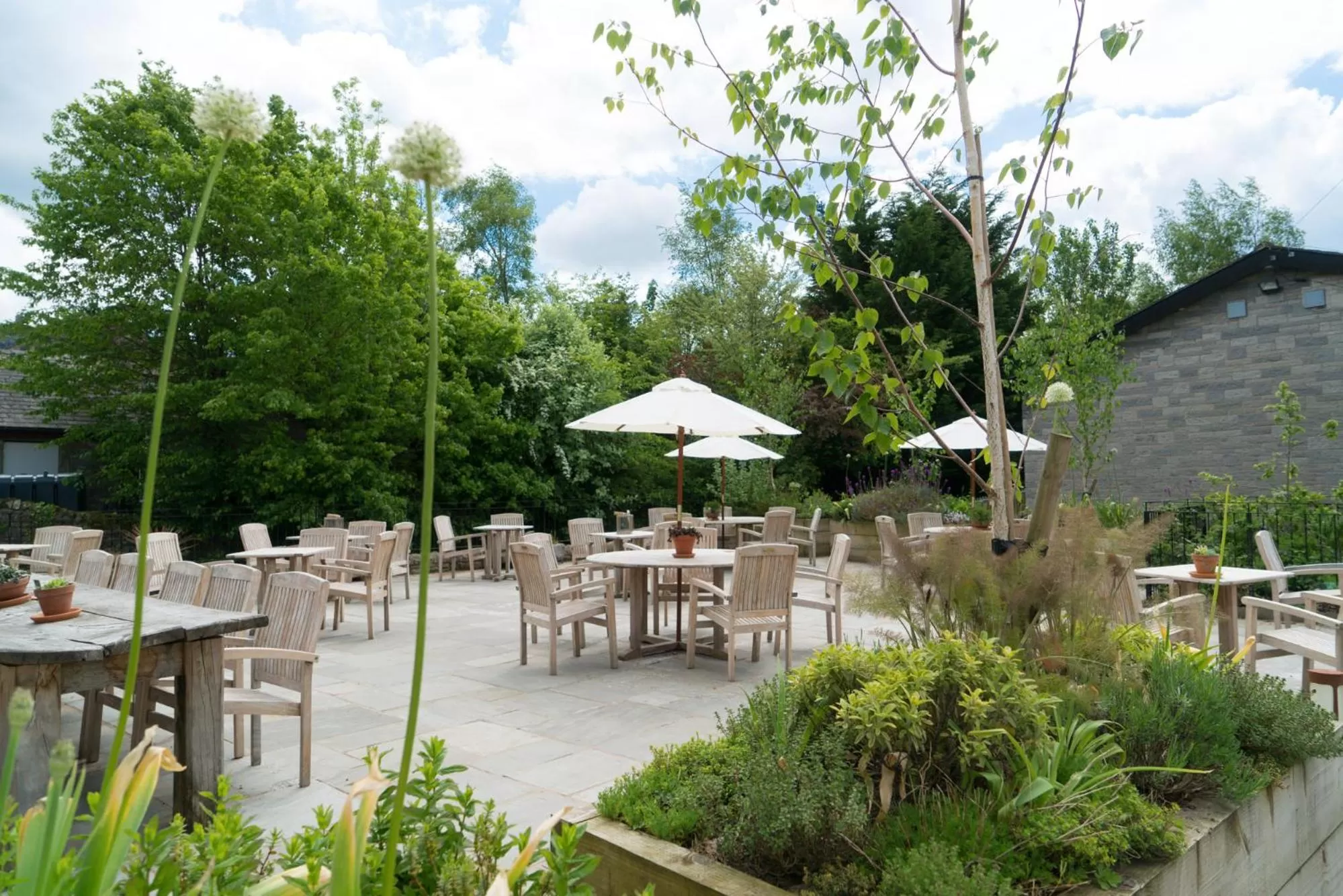 Garden in The Coach and Horses