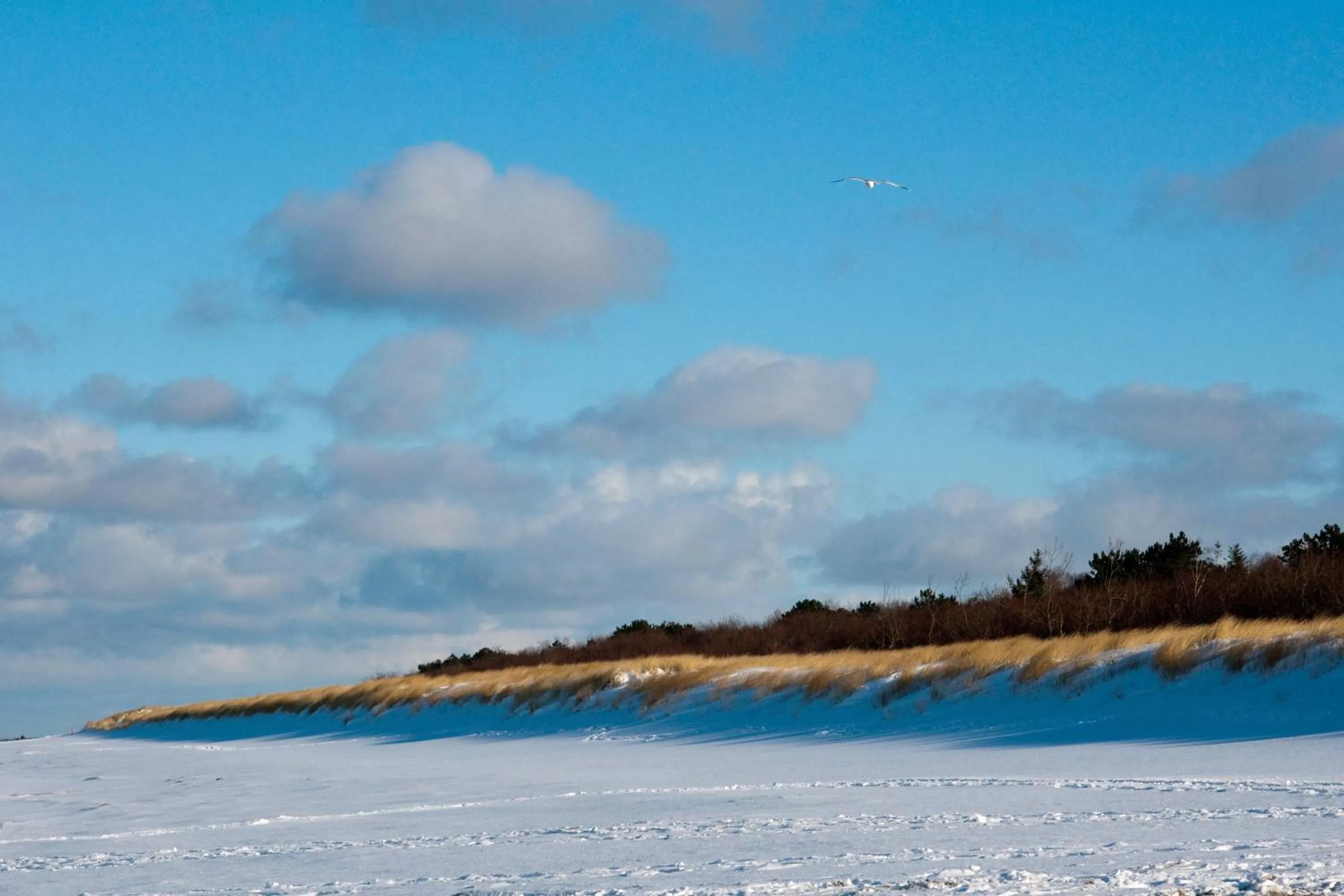 Beach in Hotel-Marks-Garni