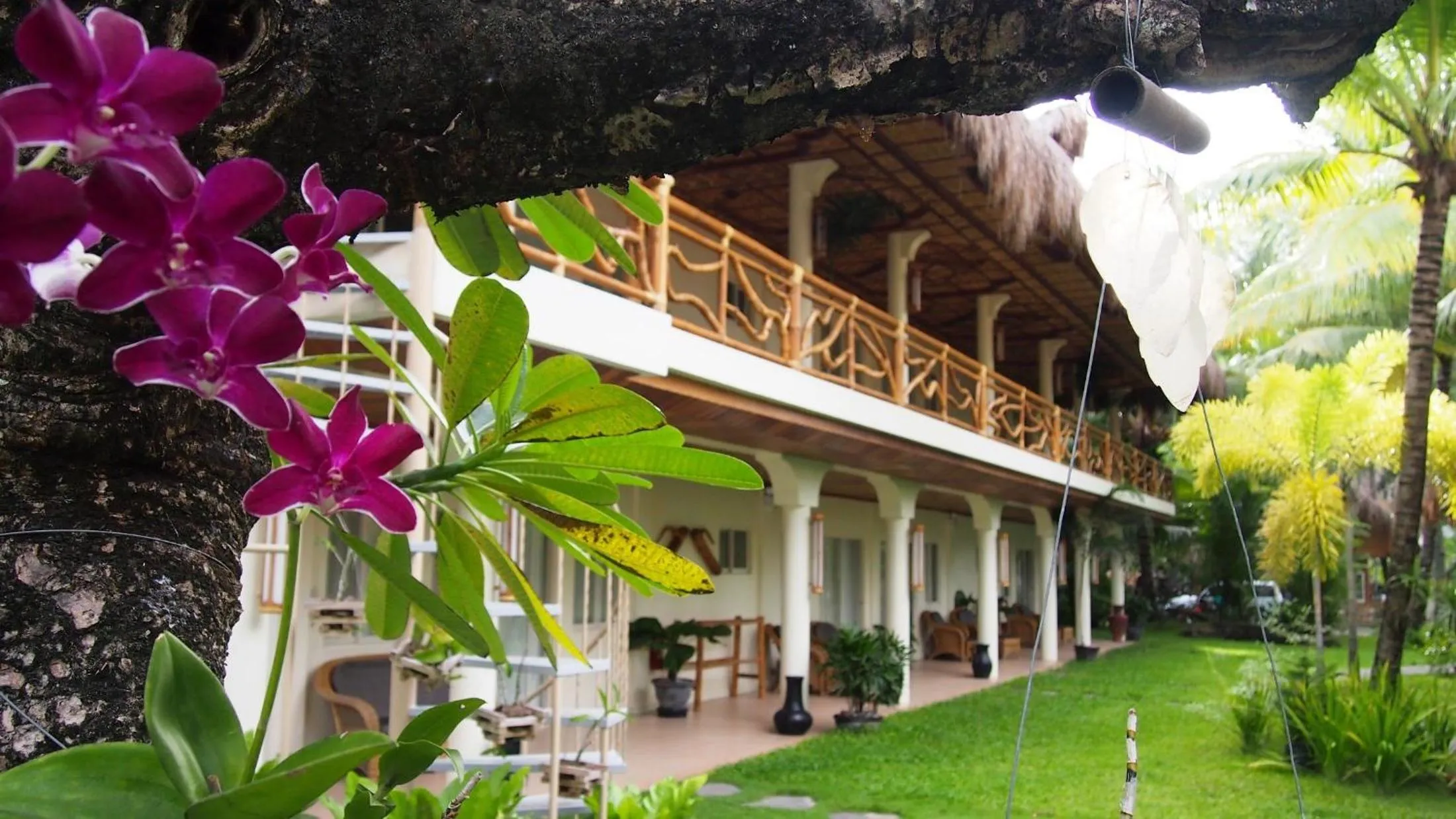 Property building in Mike's Dauin Dive Resort