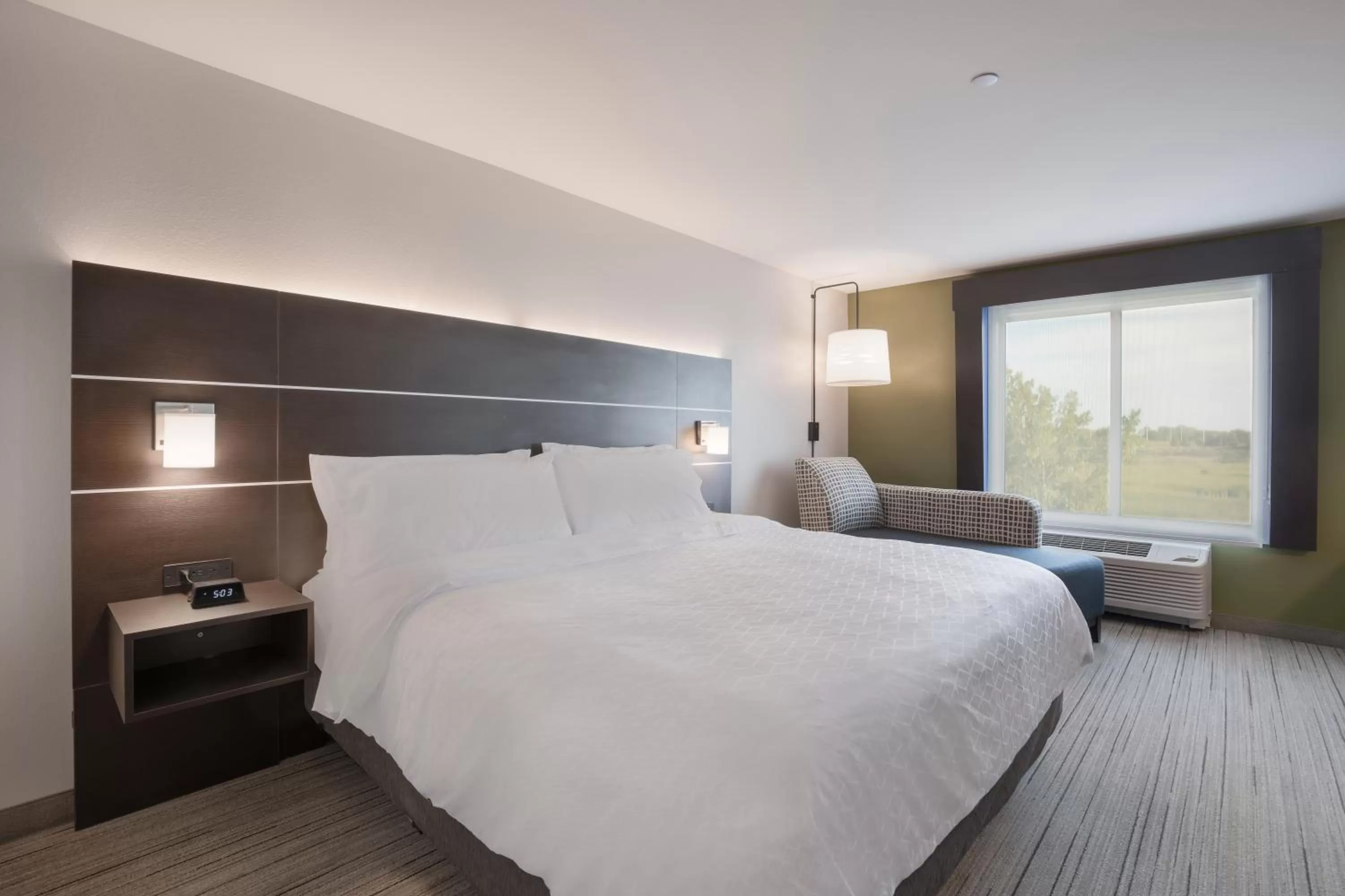 Standard King Room - Non-Smoking  in Holiday Inn Express & Suites Chicago - Hoffman Estates, an IHG Hotel