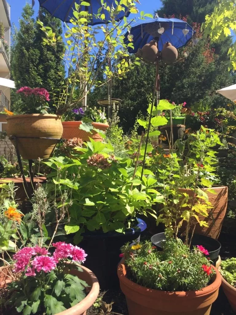 Lounge or bar in Hotel Cascade Superior