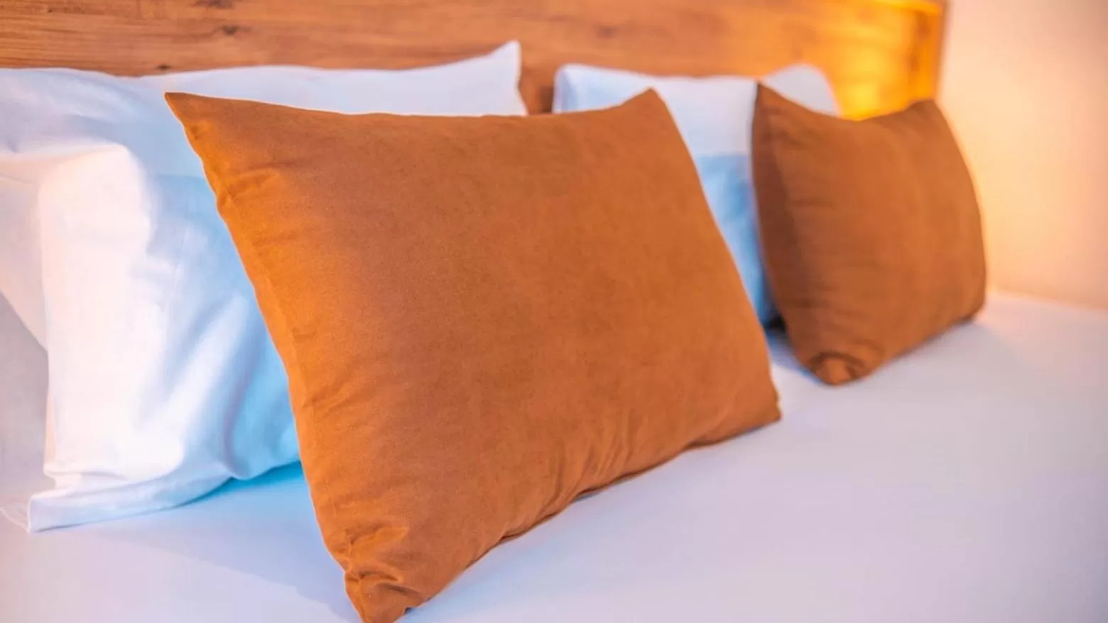 Bedroom, Bed in BEETLE HOUSE COFFEE HOTEL