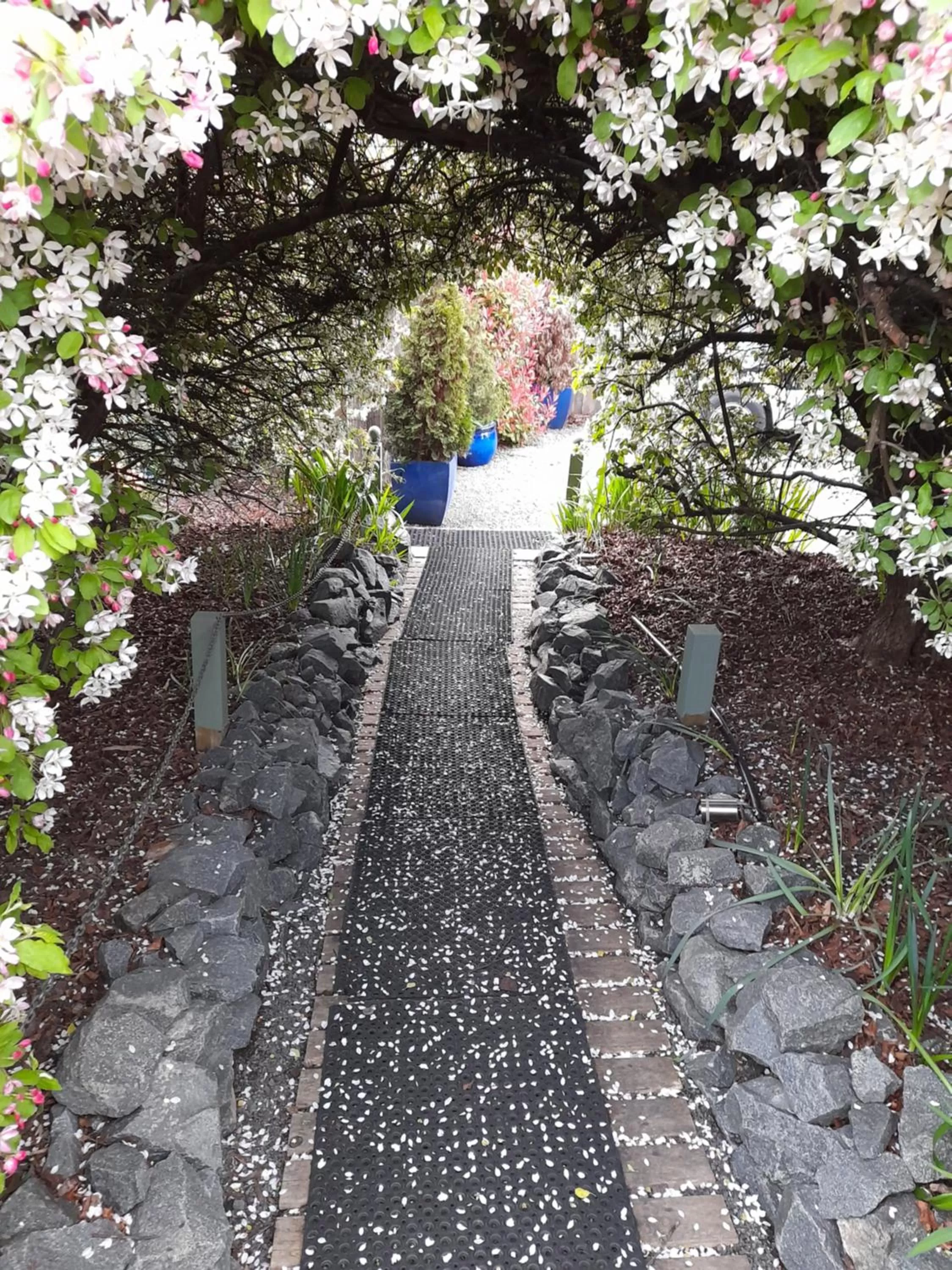 Hillside Bed and Breakfast