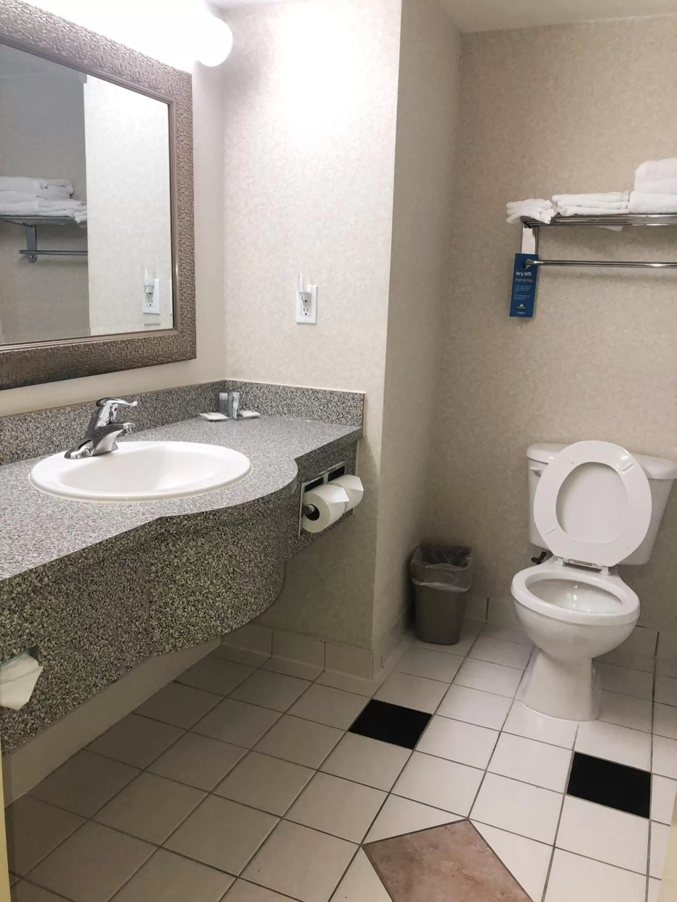 Toilet in Days Inn by Wyndham Niagara Falls Centre St By the Falls