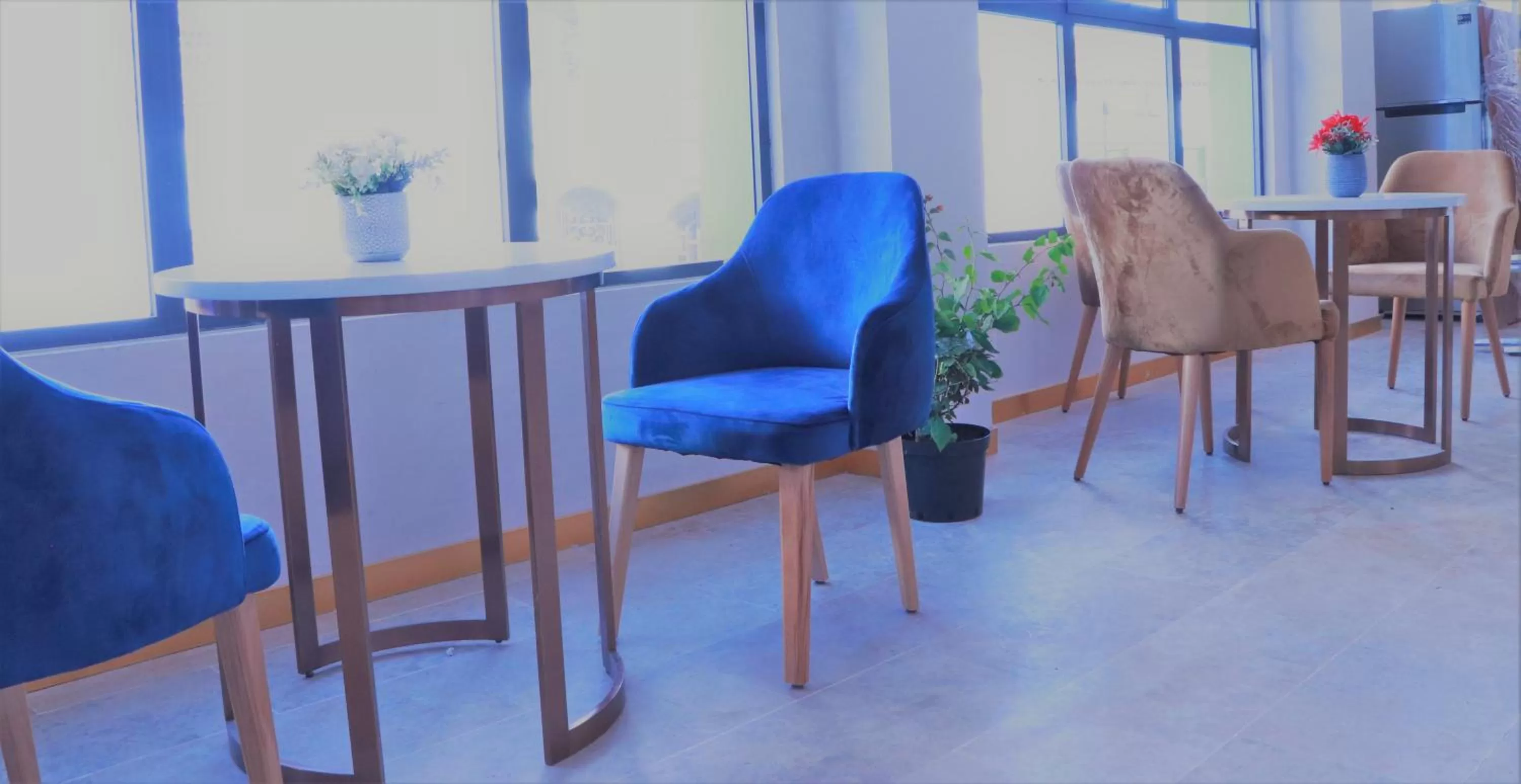 Dining area in VANCII Hotel