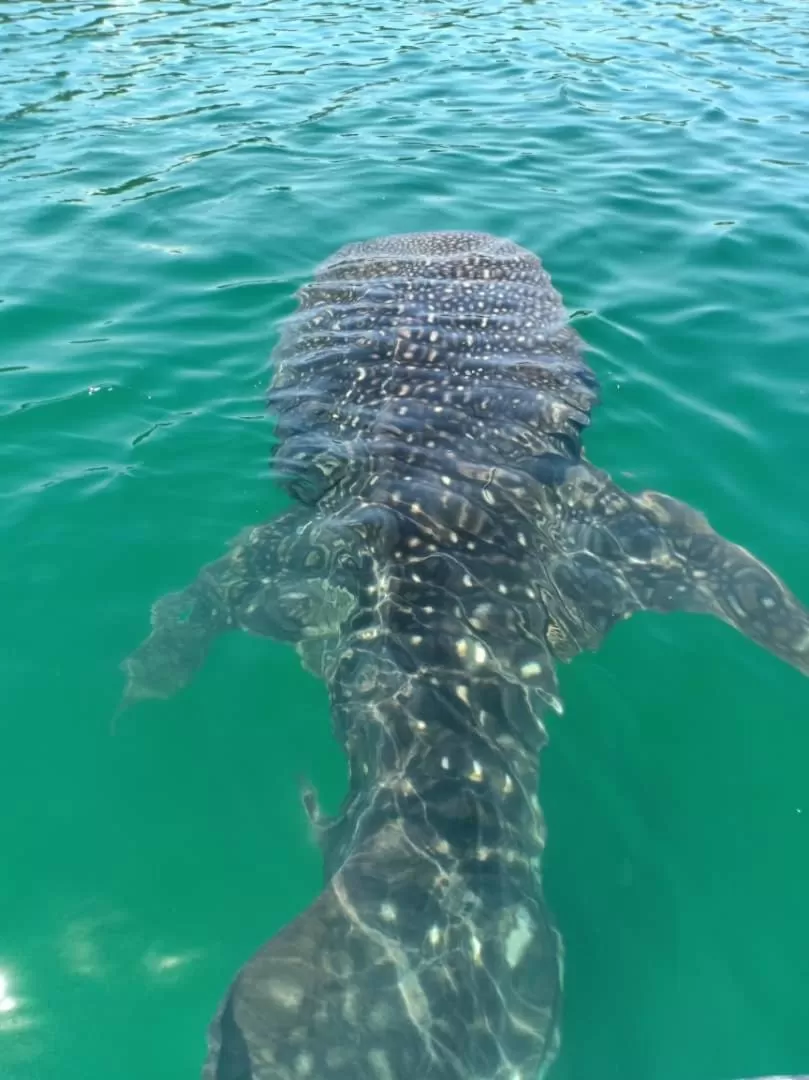 Dragon Pearl Beach Resort